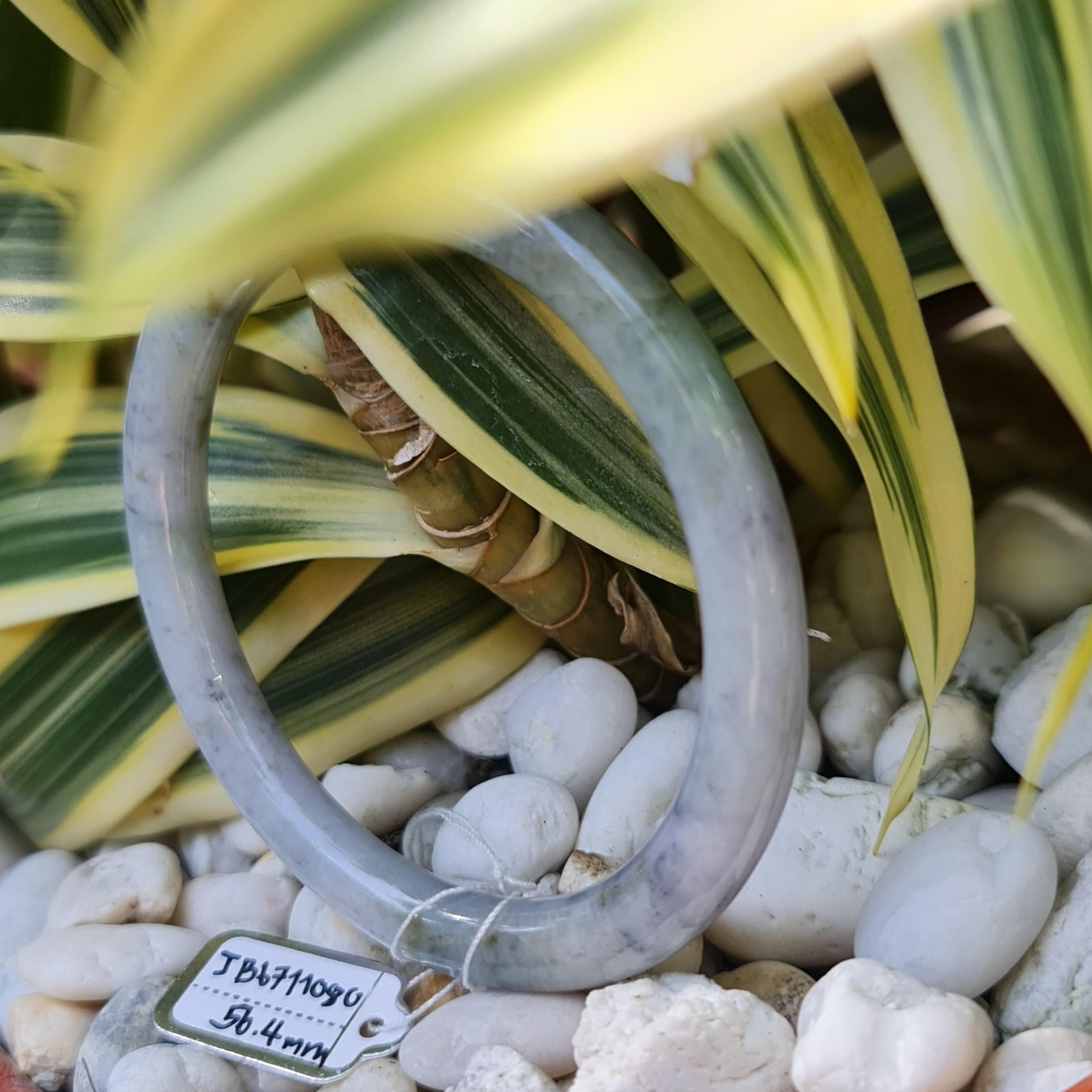 JB6711080 หยก พม่า แท้ Jade กำไลหยก 56.4 มม. (Jadeite bracelet) พม่า (Myanmar)
