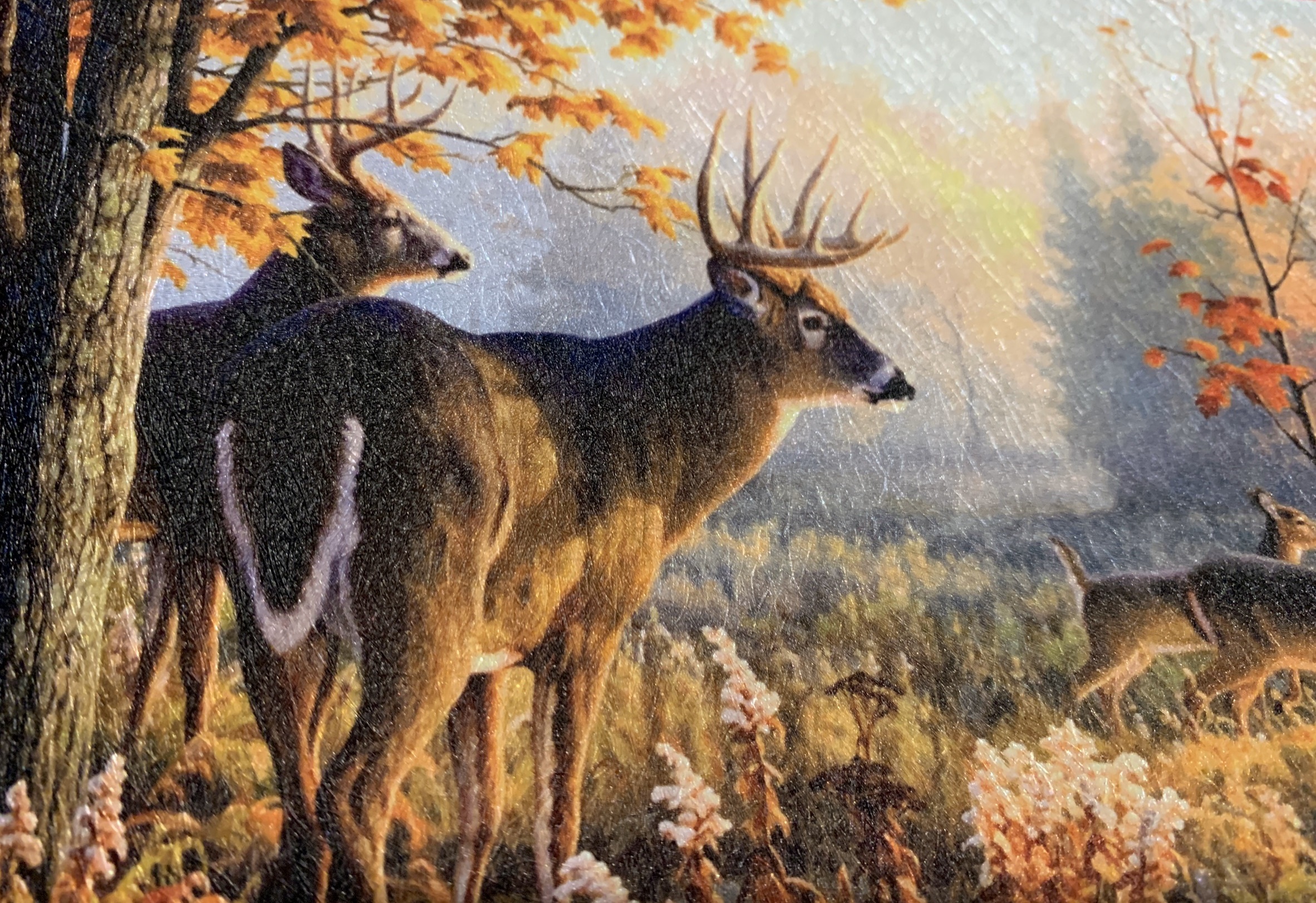 งานพิมพ์ wallpaper