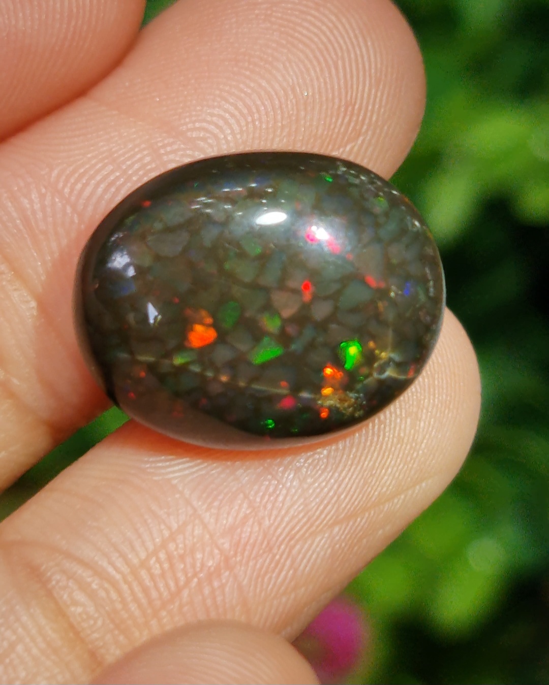 พลอย แบล็ก โอปอล Black Opal 15.76 กะรัต (Cts.) ดิบ (Unheated) พลอยแท้ อัญมณีมงคลประจําวันเกิด เครื่องประดับพลอย