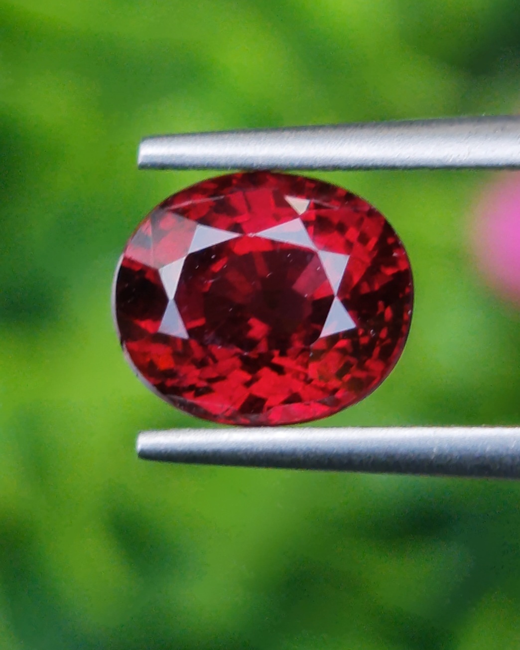 พลอย โรโดไลต์ กาเน็ท Rhodolite Garnet 2.68 กะรัต Cts.พลอยแท้ อัญมณีมงคลประจําวันเกิด เครื่องประดับพลอย