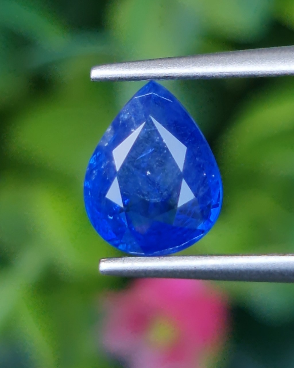 พลอย ไพลิน Blue Sapphire 1.44 กะรัต (Cts.) *สีพิเศษ คอนฟลาวเวอร์ บลู (Cornflower Blue)