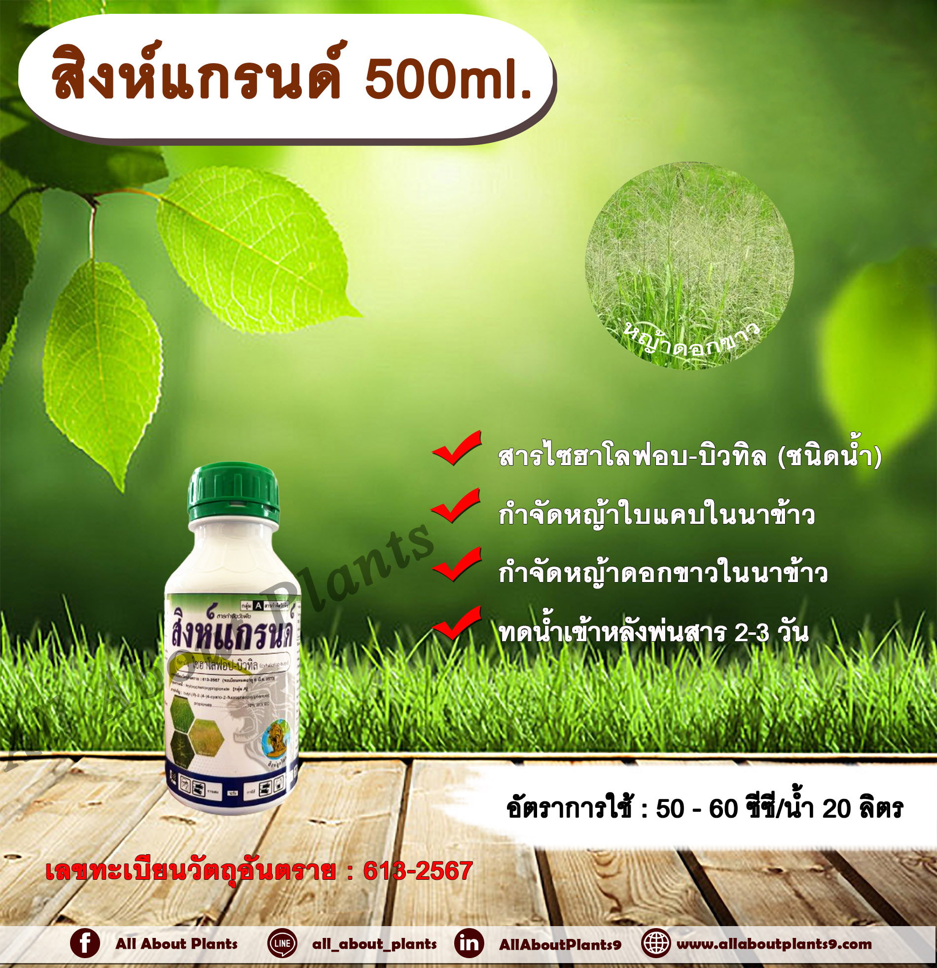 สิงห์แกรนด์ 500ml. ไซฮาโลฟอบ-บิวทิล สารกำจัดวัชพืช สารกำจัดหญ้า ในนาข้าว หญ้าใบแคบ หญ้าดอกขาว allaboutplants ชิ้น