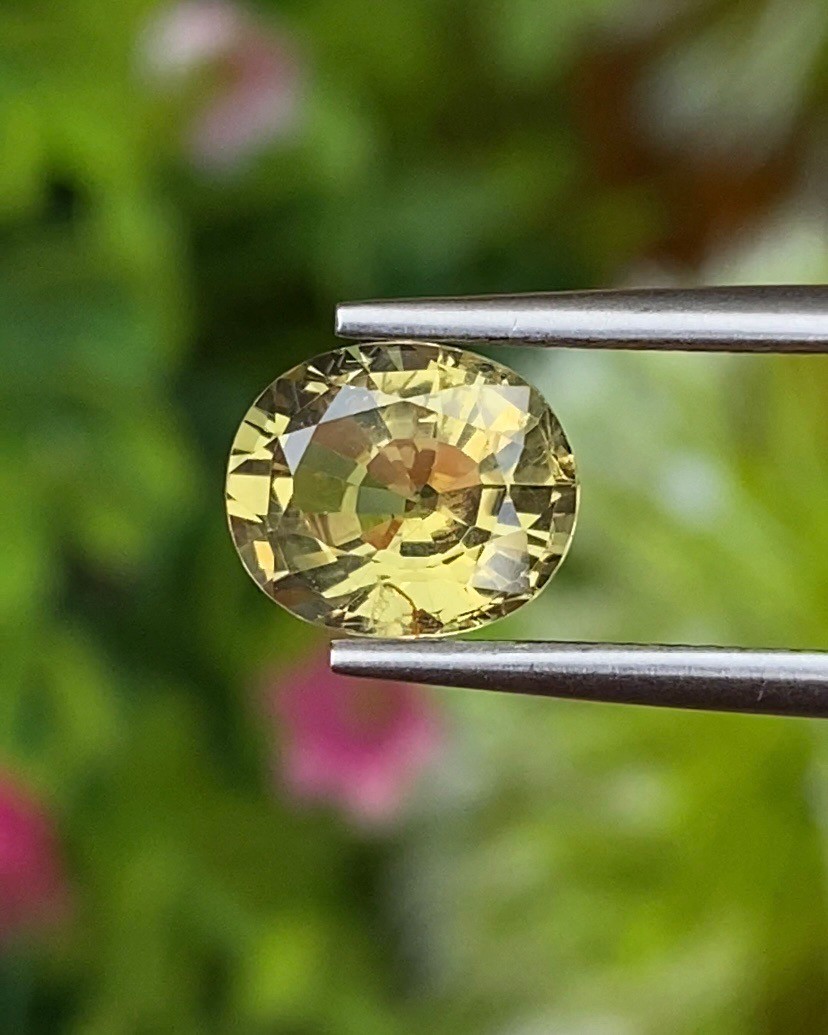 พลอย คริโซเบริล (Chrysoberyl) 1.68 กะรัต (Cts.) พลอยแท้ อัญมณีมงคลประจําวันเกิด เครื่องประดับพลอย