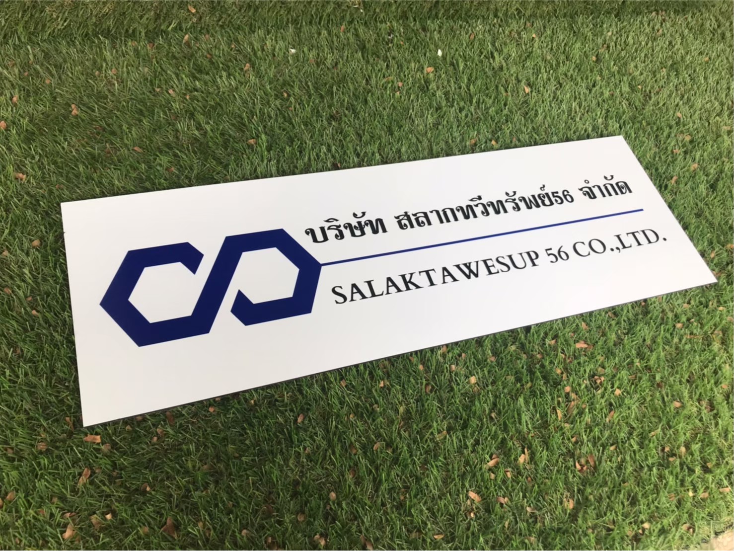 ป้ายสกีน