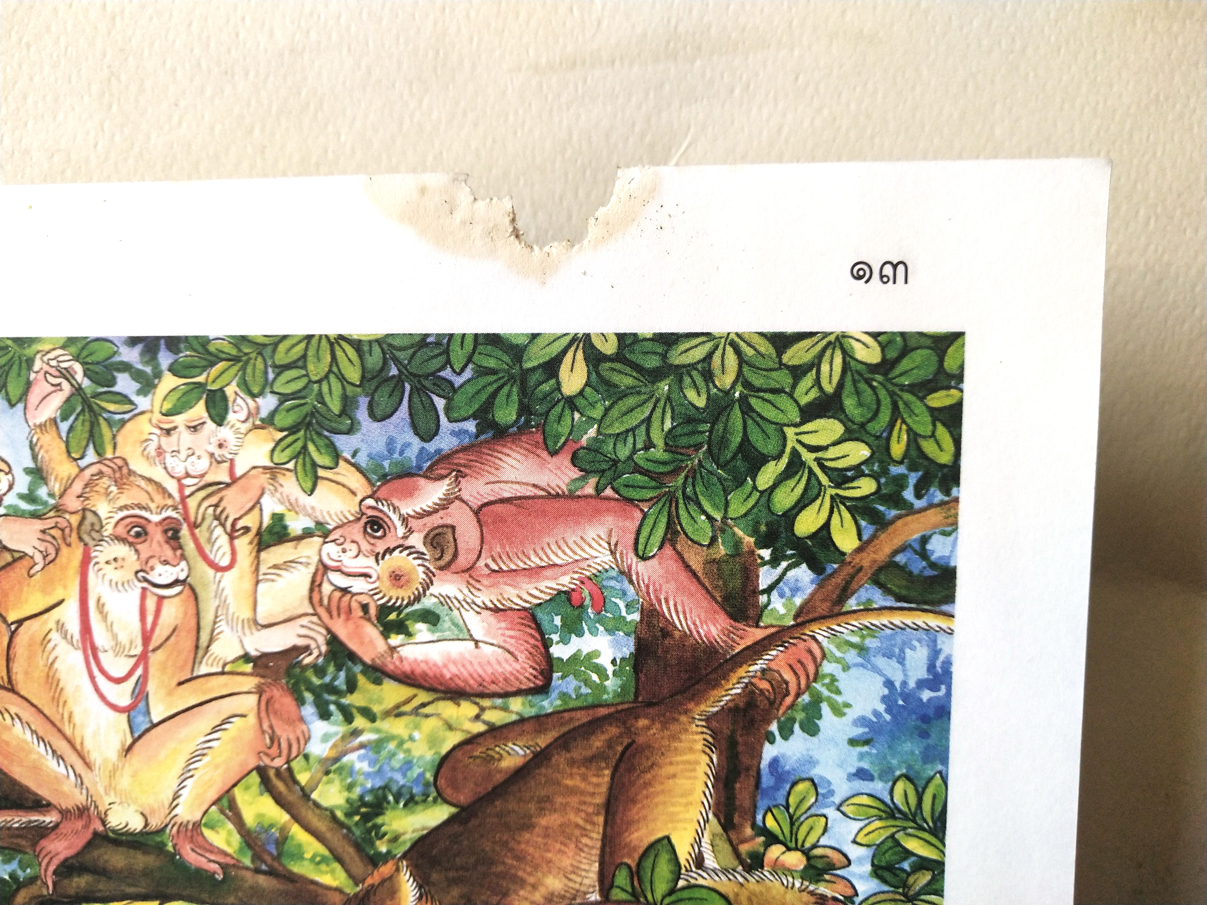 หนังสือภาพสวย มีตำหนิโปรดตรวจสอบทุกภาพ หนังสือภาพชุดนิทานชาดก เรื่องลิงกับไข่มุก เขียนเรื่องโดย บุษบง โควินทร์ เขียนภาพโดย กาญจนา ภูมิสูง พิมพ์ครั้งที่ 3 มกราคม 2548