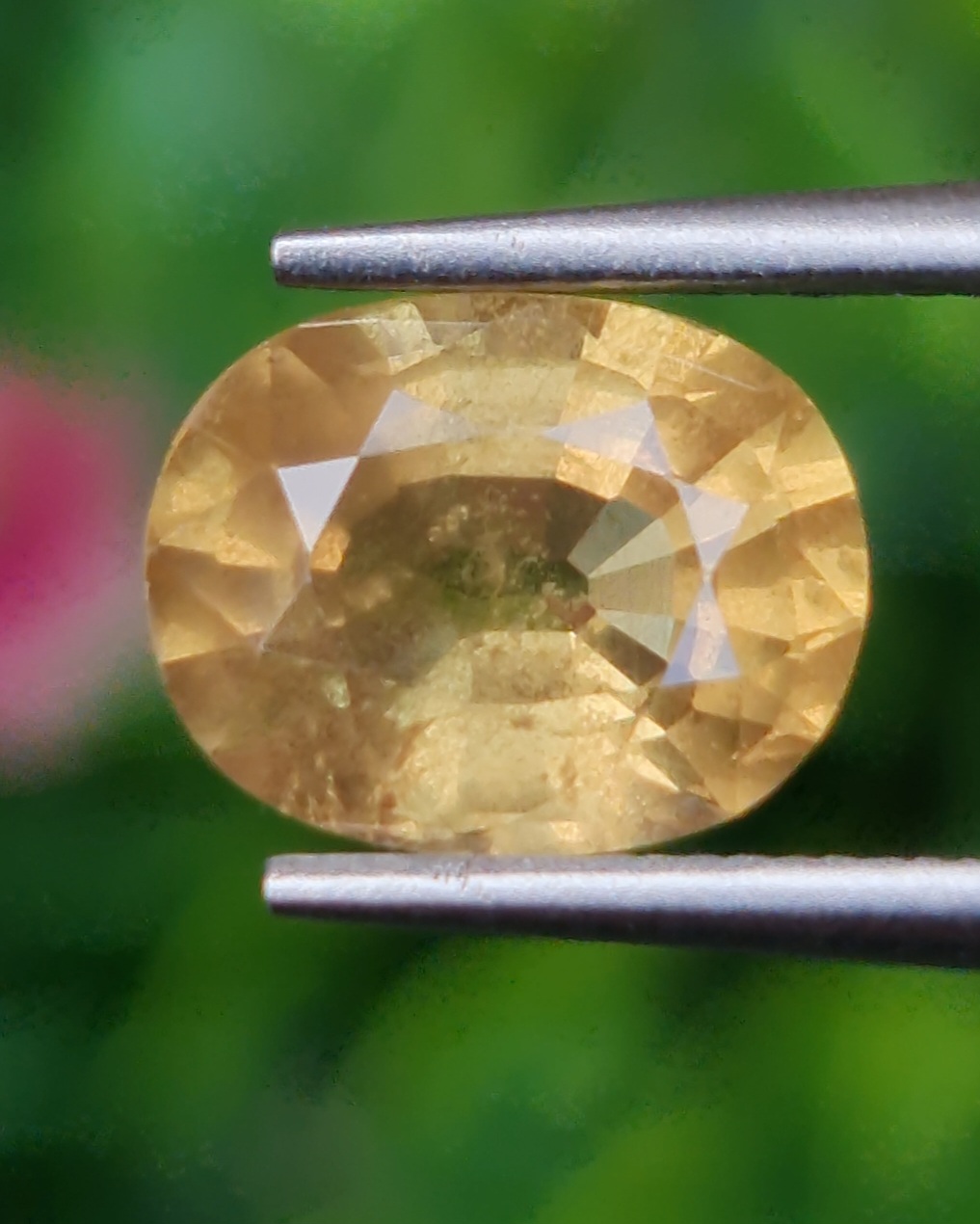 พลอย บุษราคัม yellow sapphire 2.52 กะรัต (Cts.) ดิบ พร้อมใบเซอร์ พลอยแท้ อัญมณีมงคลประจําวันเกิด เครื่องประดับพลอย