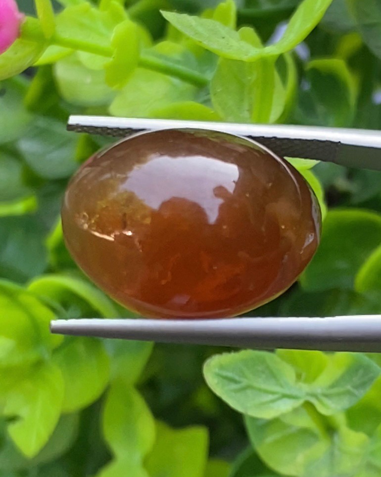 พลอย ตาแมว อะพาไทต์ Cat eye Apatite 25.00 กะรัต (Cts.) พลอยแท้ อัญมณีมงคลประจําวันเกิด เครื่องประดับพลอย