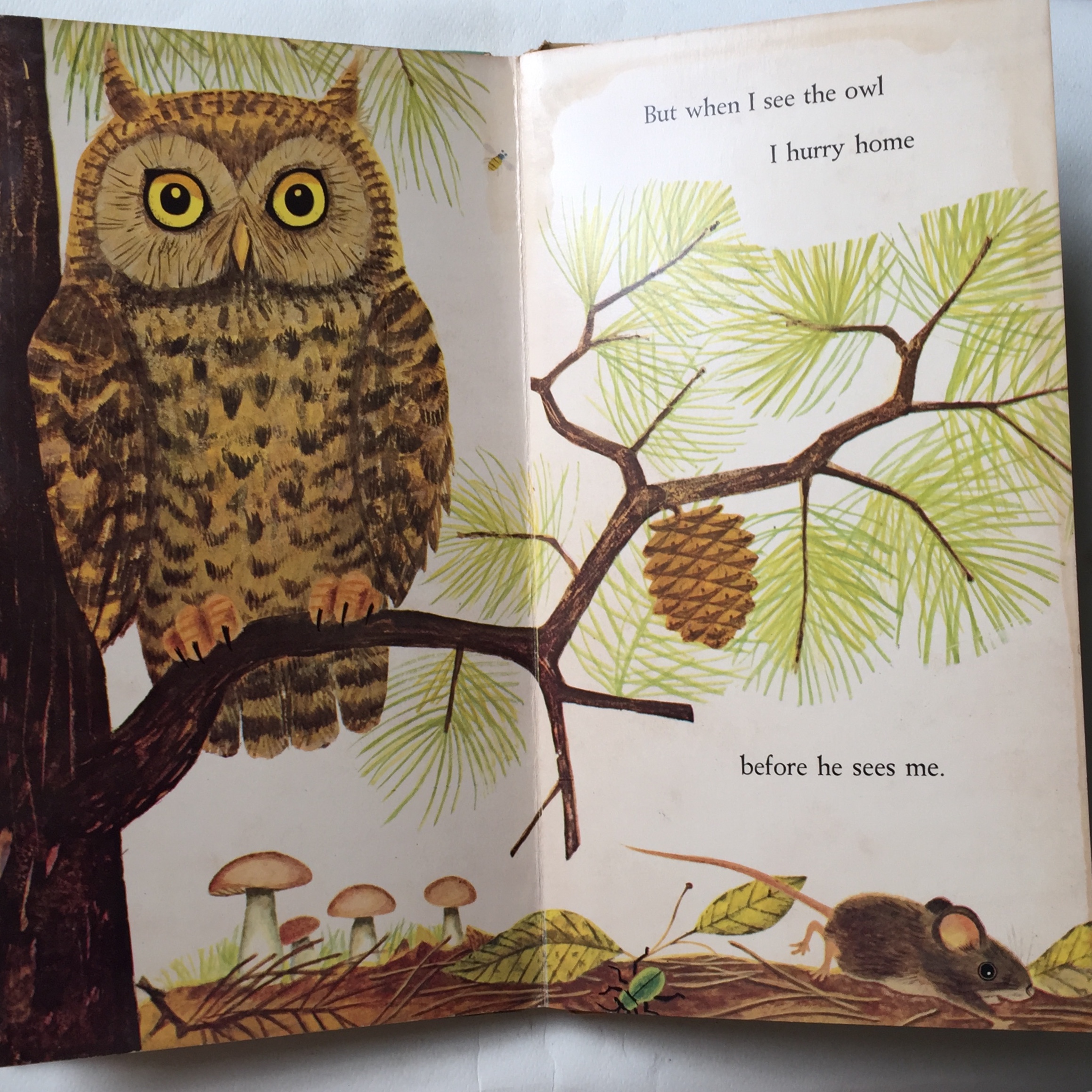 หนังสือนิทานเก่าภาพสวยปกแข็ง ปี 1964 ฉบับภาษาอังกฤษ "I am a Mouse", a golden sturdy happy book **มีตำหนิตามภาพ