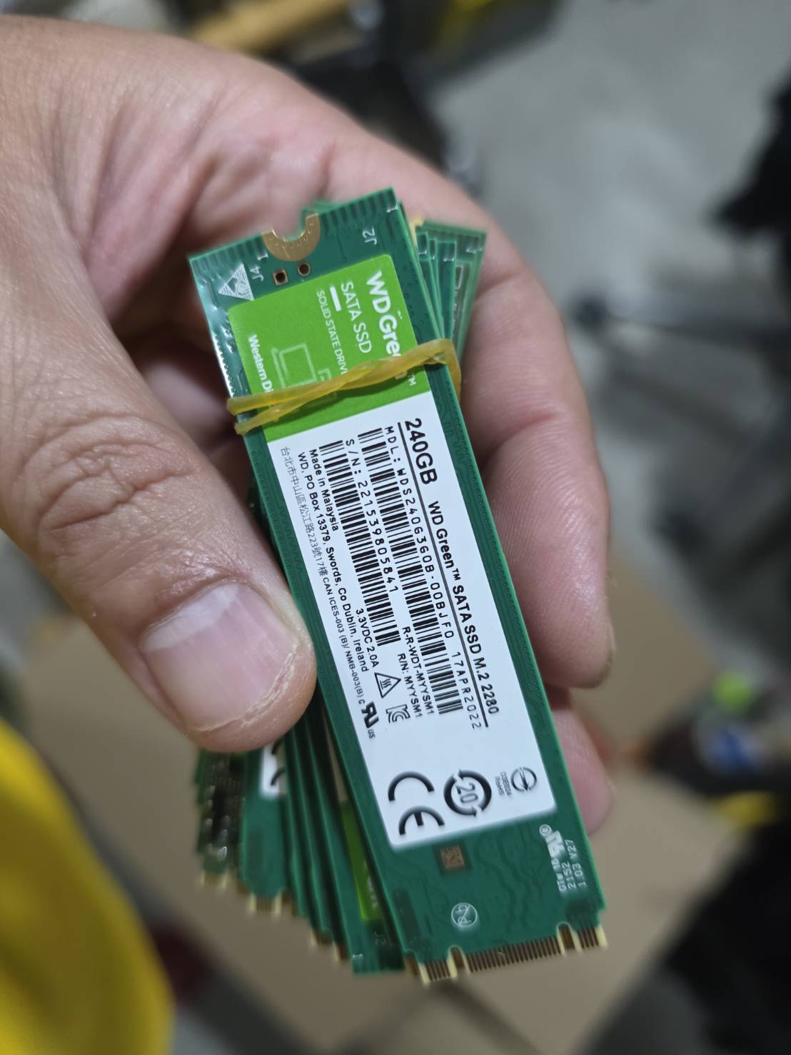 SSD WD Green SATA m.2 2280 240 GB