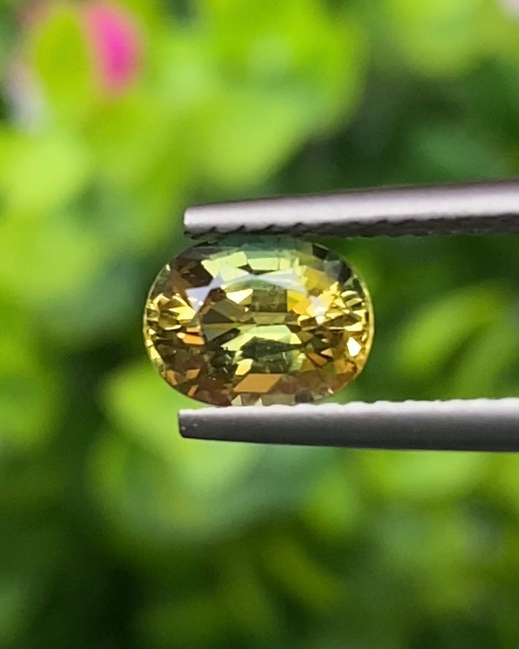 พลอย แซฟไฟร์ 2 สี Bi-Color Sapphire 1.37 กะรัต (Cts.) พลอยแท้ อัญมณีมงคลประจําวันเกิด เครื่องประดับพลอย