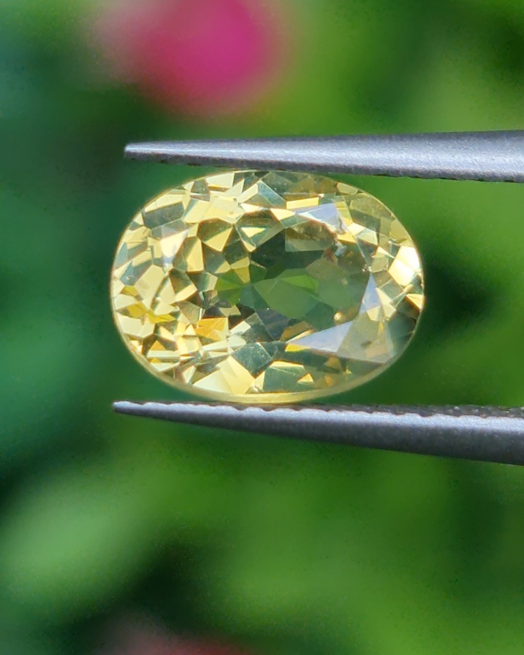 พลอย คริโซเบริล (Chrysoberyl) 1.23 กะรัต (Cts.) พลอยแท้ อัญมณีมงคลประจําวันเกิด เครื่องประดับพลอย