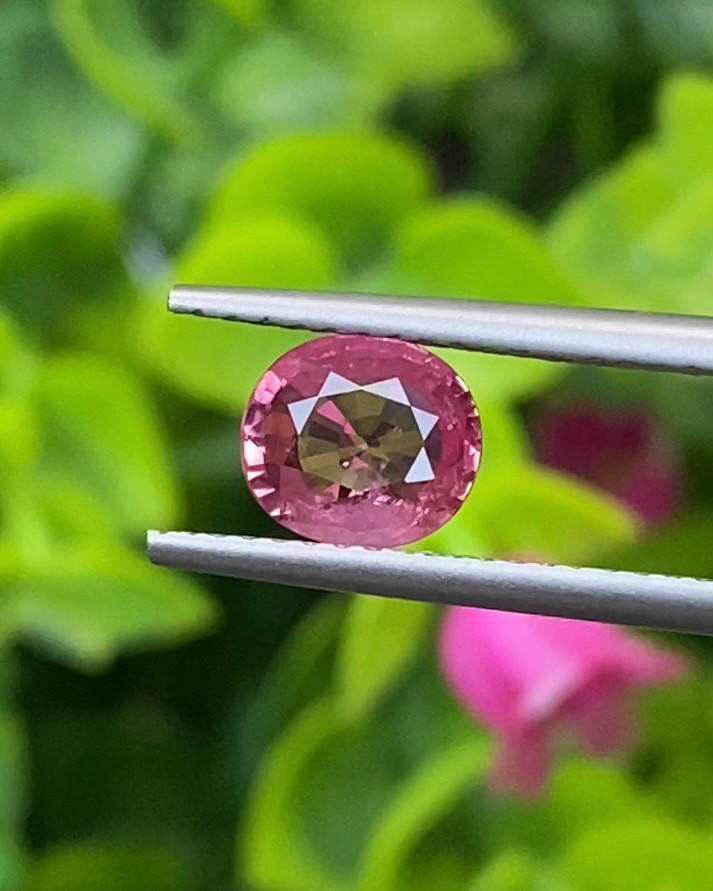 พลอย ทับทิม (Ruby Sapphire) 0.99 กะรัต (Cts.) พลอยแท้ อัญมณีมงคลประจําวันเกิด เครื่องประดับพลอย