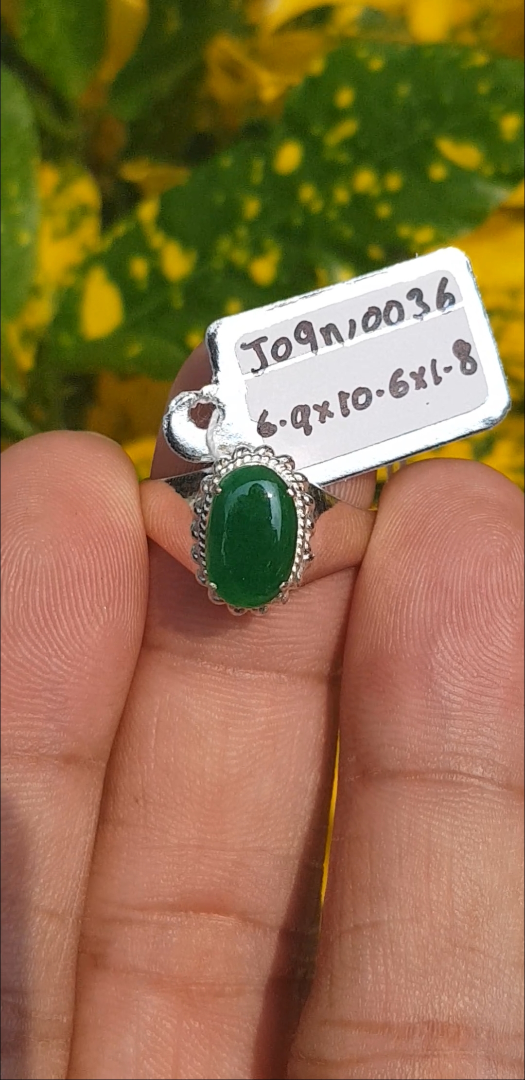หยก พม่า แท้ Jade แหวนหยก 翡翠戒指 (Jadeite ring) 1.07 กะรัต (Cts.) (Size) 57 ดิบ ไม่ผ่านการปรับปรุง (Type A) พม่า (Myanmar)
