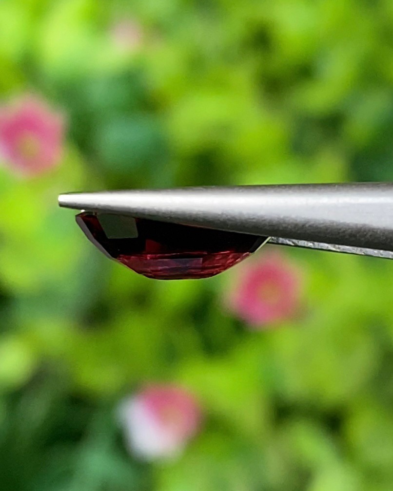 พลอย โรโดไลต์ กาเน็ท Rhodolite Garnet 3.00 กะรัต Cts.พลอยแท้ อัญมณีมงคลประจําวันเกิด เครื่องประดับพลอย