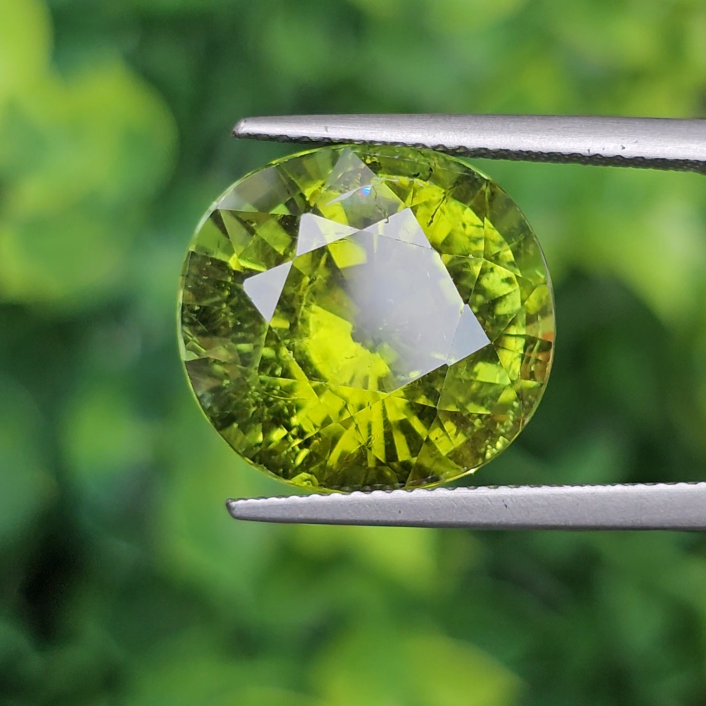พลอย ทัวร์มาลีน Tourmaline 13.77 กะรัต (Cts.) พลอยแท้อัญมณีมงคล ประจําวันเกิด เครื่องประดับพลอย