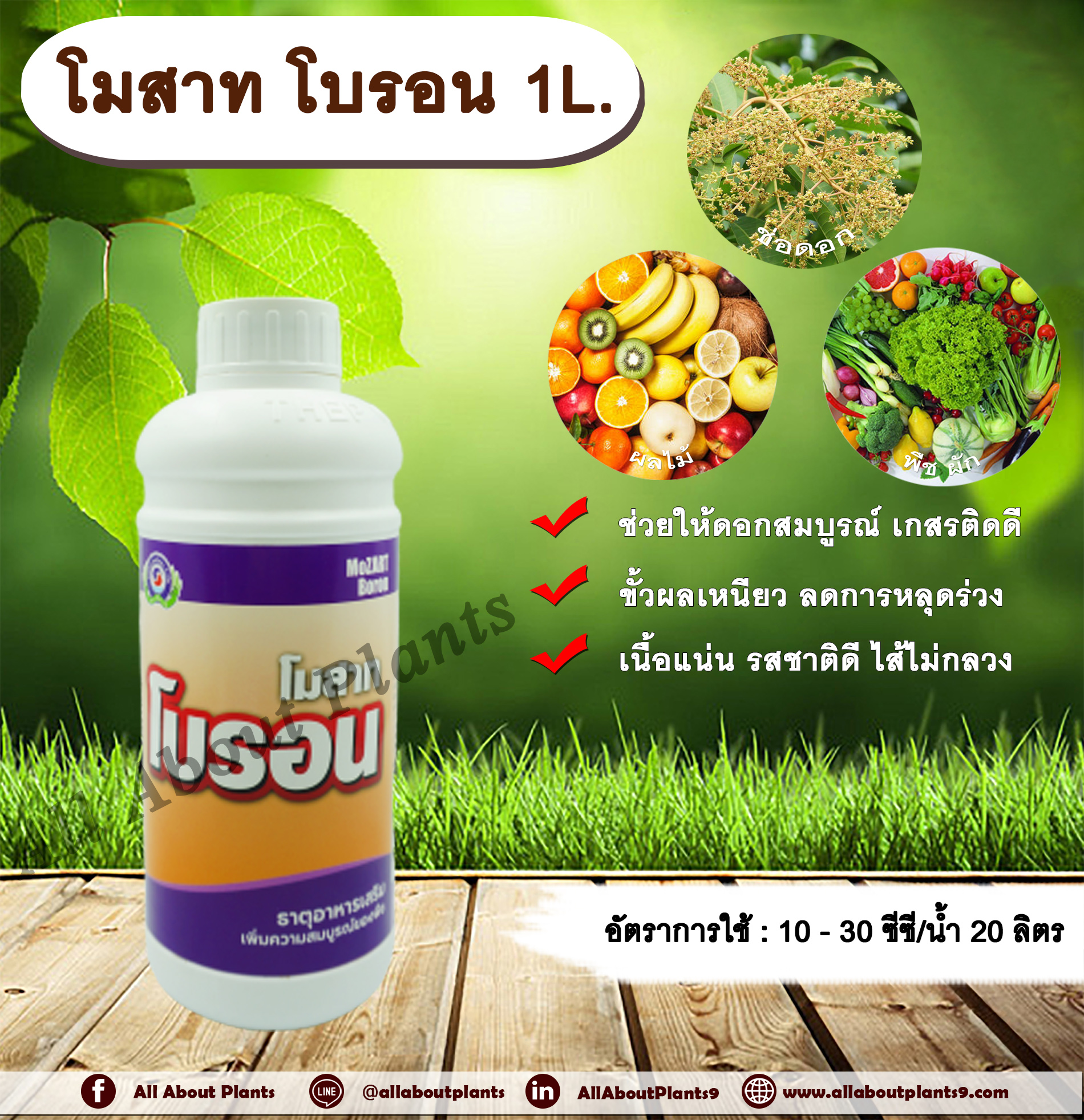 โมสาท โบรอน 1L. ธาตุอาหารเสริมพืช ฮอร์โมนพืช บำรุงดอก ดอกสมบูรณ์ เกสรติดดี ขั้วเหนียว ไม่หลุดร่วง เนื้อแน่น รสชาติดี ไส้ไม่กลวง allaboutplants ชิ้น