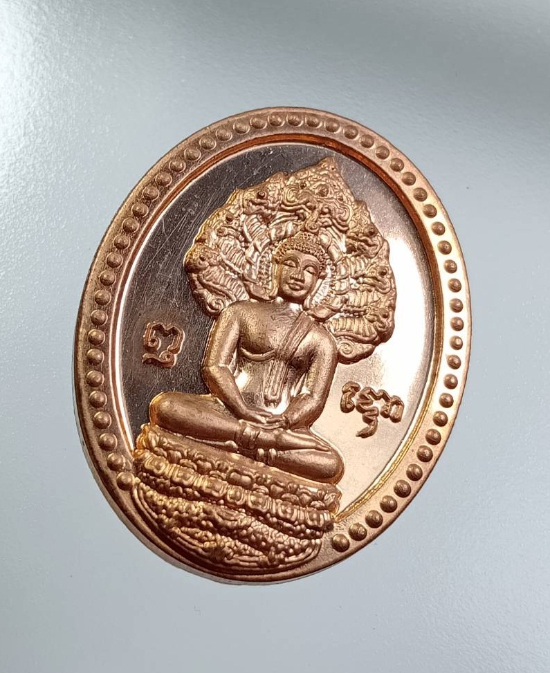 A7525 เหรียญพระนาคปรก หลังพระธาตุพนม วัดพระธาตุพนมวรมหาวิหาร จ.นครพนม อายุวัฒนมงคล 74 ปี พระเทพวรมุนี ปี 2557