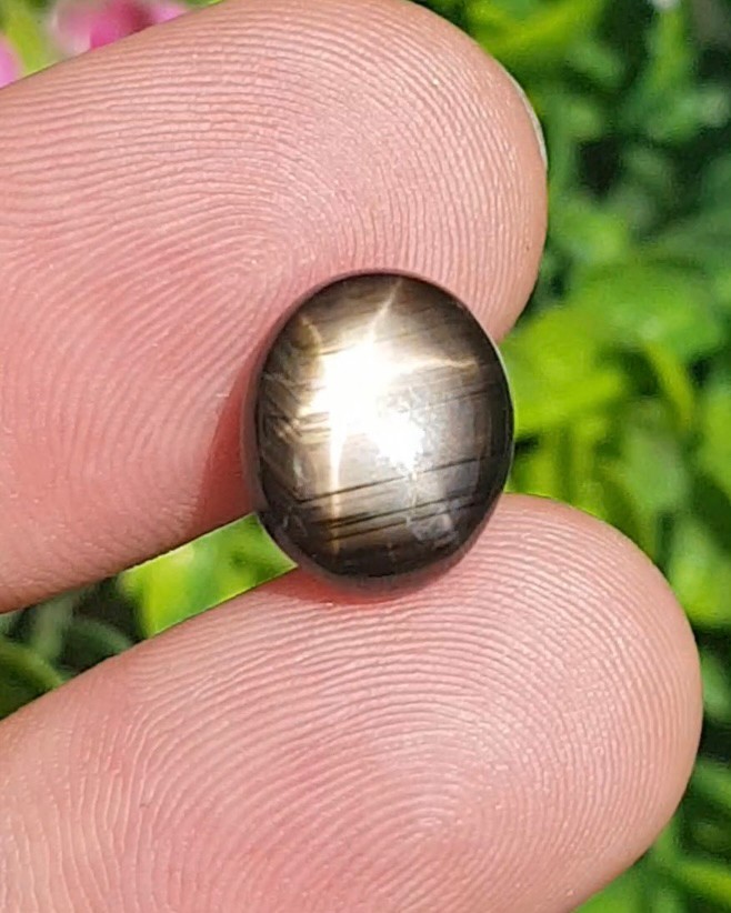 พลอย แบล็ค สตาร์ แซฟไฟร์ Black Star Sapphire 9.71 กะรัต (Cts.) ดิบ Unheated พลอยแท้ อัญมณีมงคลประจําวันเกิด เครื่องประดับพลอย