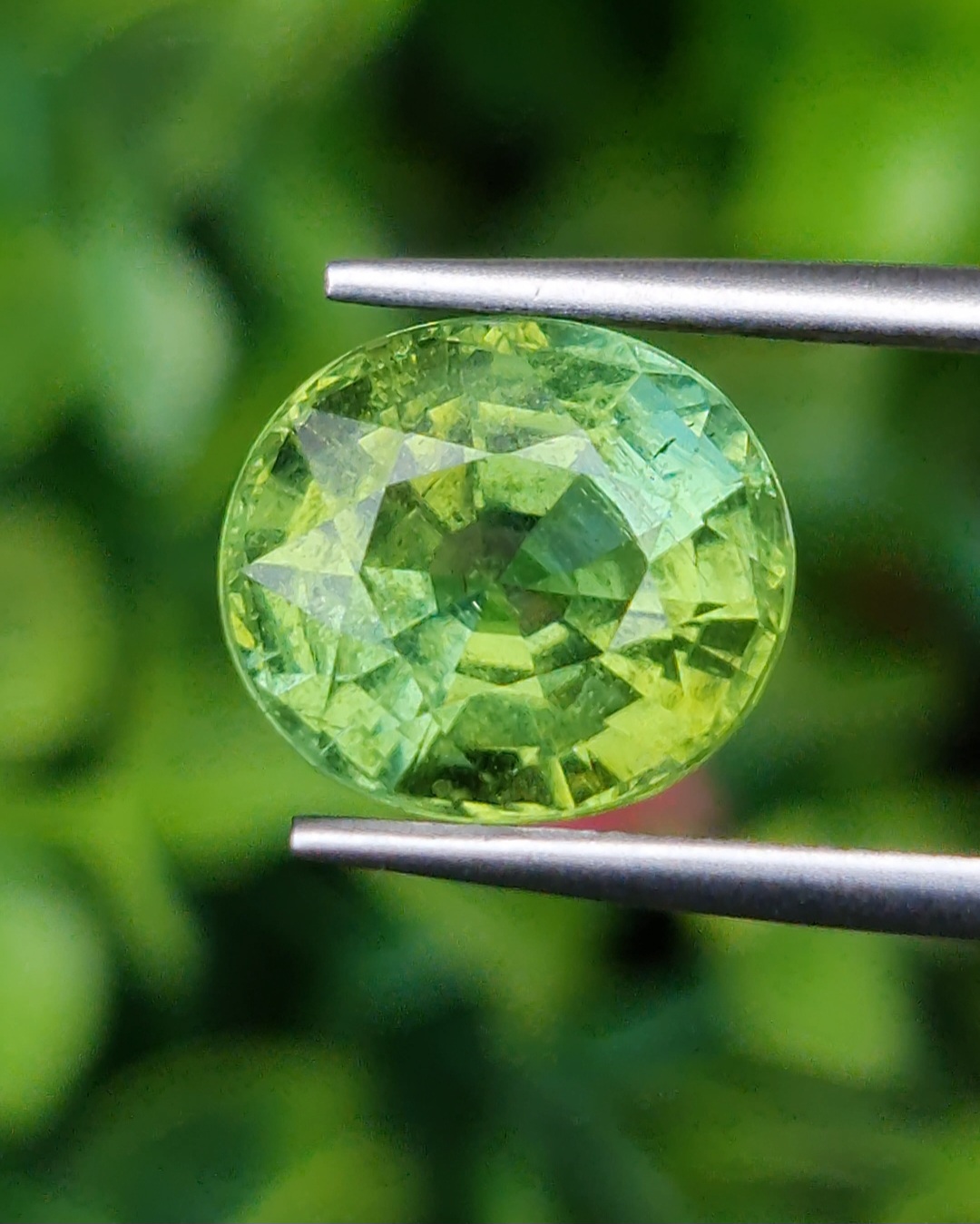พลอย กรีน ทัวร์มารีน (Green Tourmaline) 5.21 กะรัต (Cts.) อัญมณีมงคลประจําวันเกิด เครื่องประดับพลอย