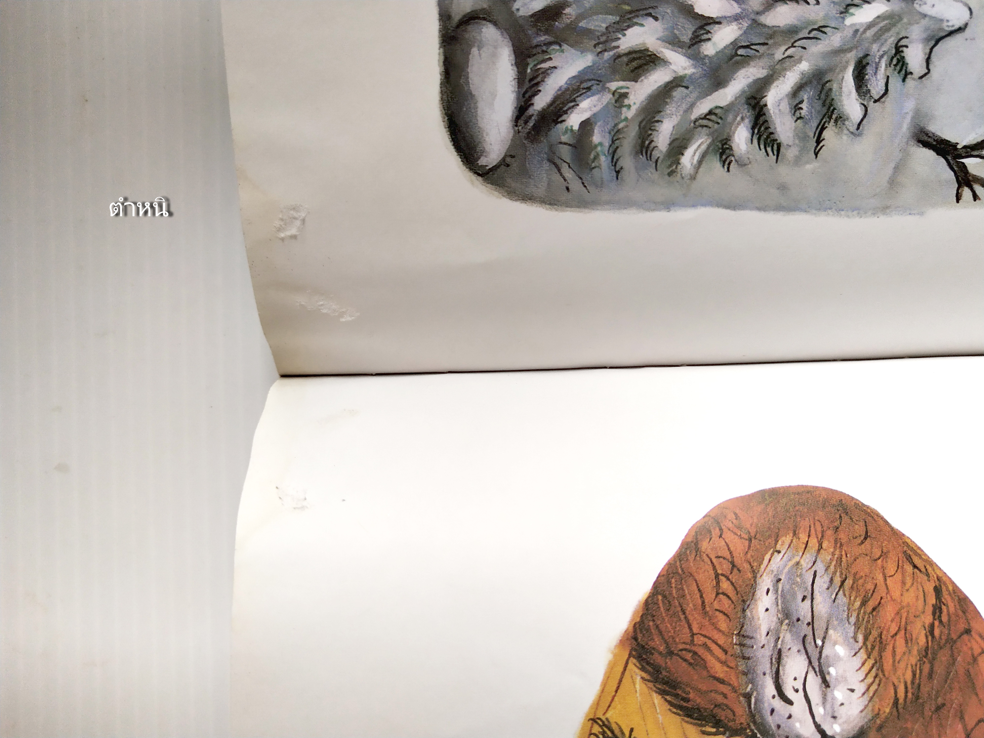 หนังสือนิทาน**มีตำหนิ โปรดตรวจสอบทุกภาพ ฉบับภาษาอังกฤษ The Gruffalo's child โดย Julia Donaldson ,ภาพโดย Axel Scheffler