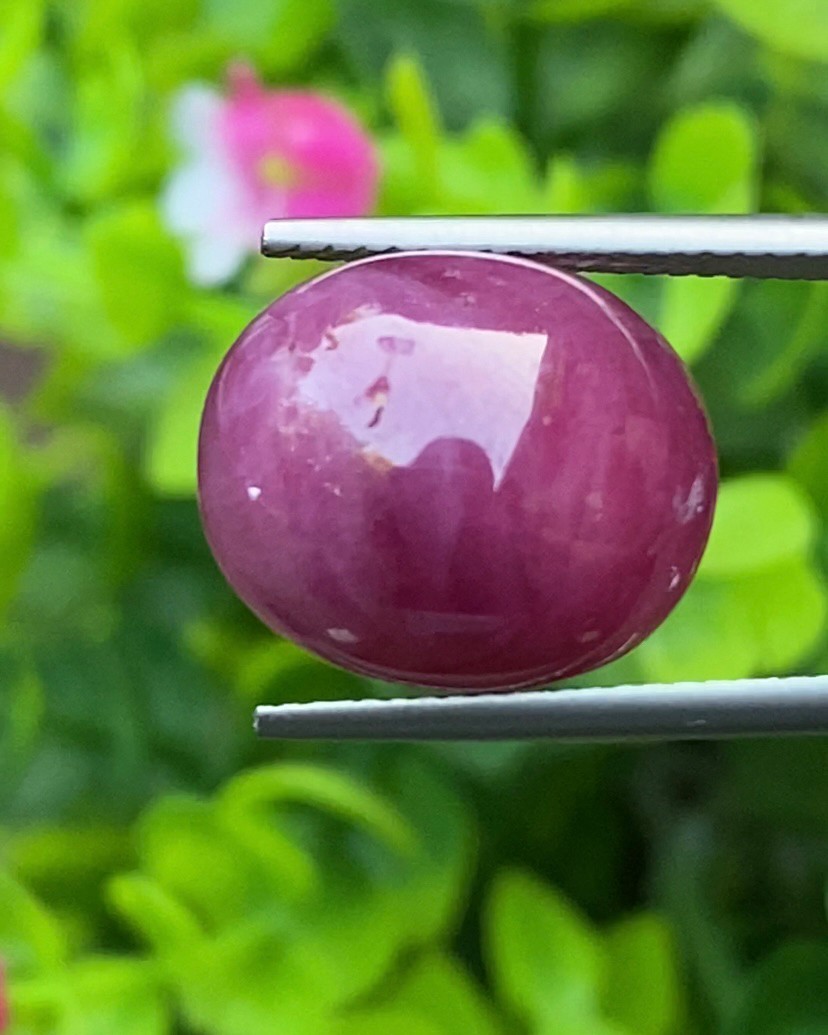 พลอย ทับทิม (Ruby Sapphire) 16.75 กะรัต (Cts.) พลอยแท้ อัญมณีมงคลประจําวันเกิด เครื่องประดับพลอย