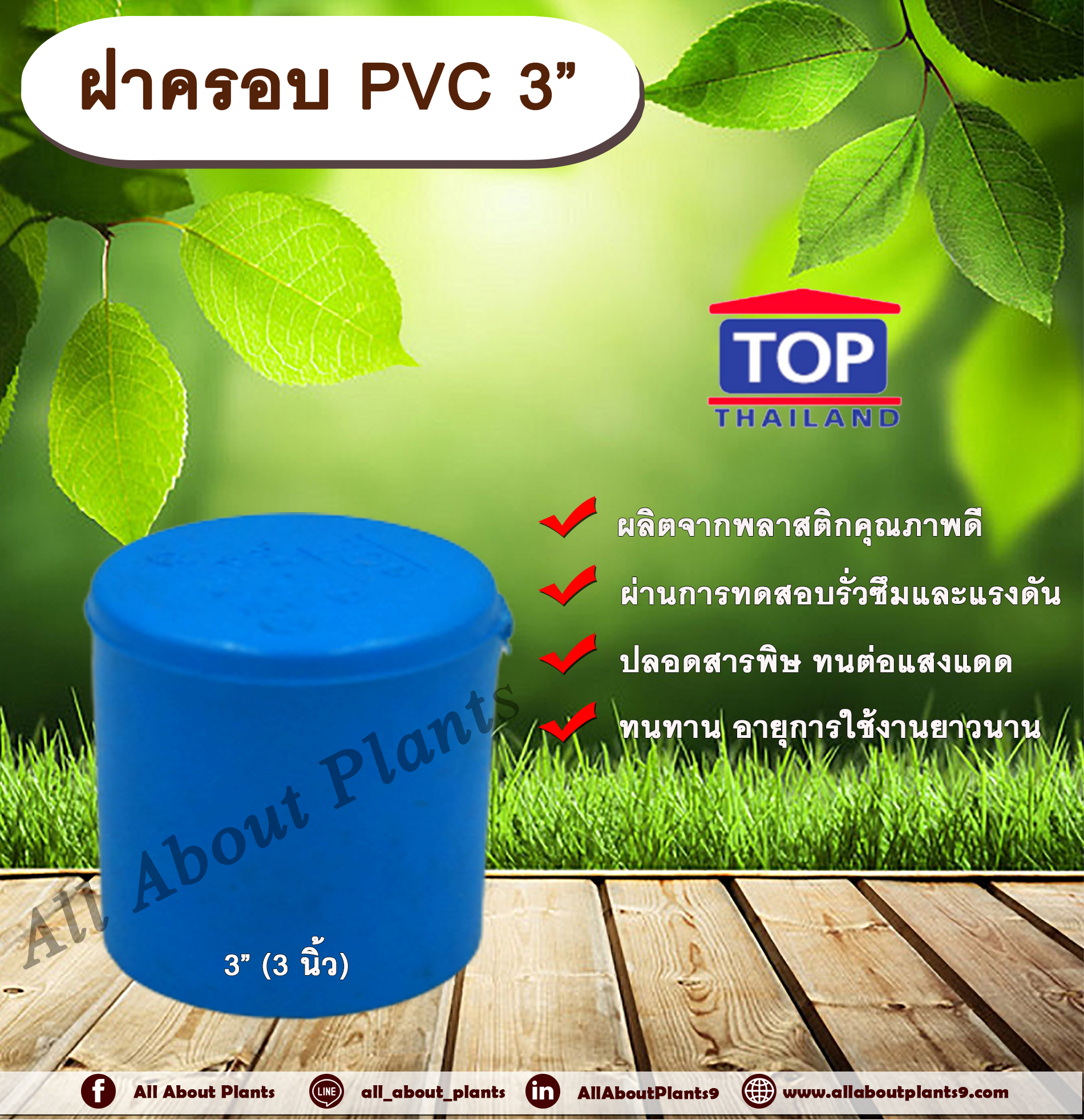 ฝาครอบ PVC ตรา TOP 3”(3นิ้ว) ฝาครอบท่อPVC ขนาด 3นิ้ว ตัวอุดท่อ ฝาปิดท่อพีวีซี allaboutplants ชิ้น