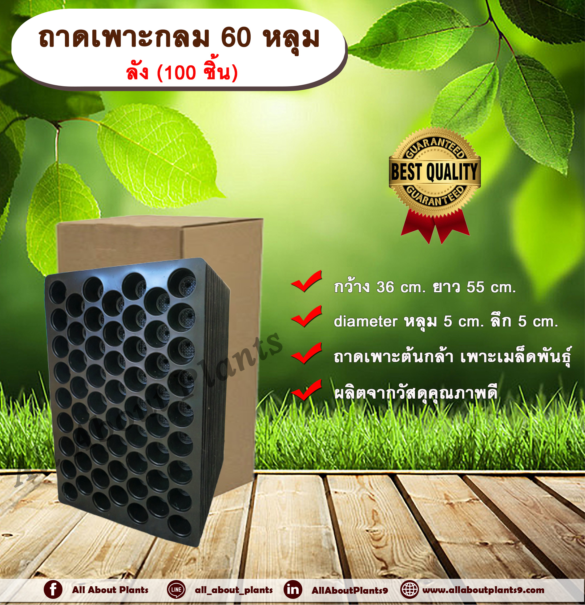 ถาดเพาะกลม 60 หลุม ลัง (100 ชิ้น) ถาดเพาะต้นกล้า ถาดเพาะเมล็ดพันธุ์ ขนาด 60 หลุม แบบกลม allaboutplants ชิ้น