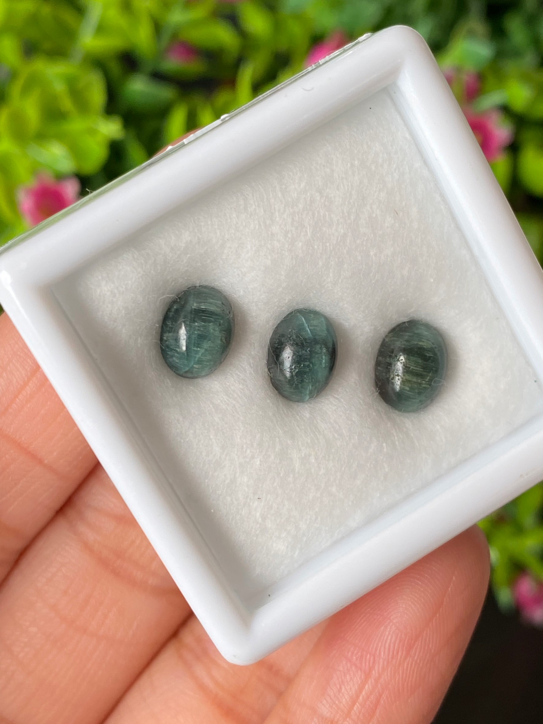 ตาแมว ทัวร์มาลีน Cat eye Tourmaline 4.81 กะรัต Cts. 3 เม็ด (Pcs.) พลอยแท้ อัญมณีมงคลประจําวันเกิด เครื่องประดับพลอย