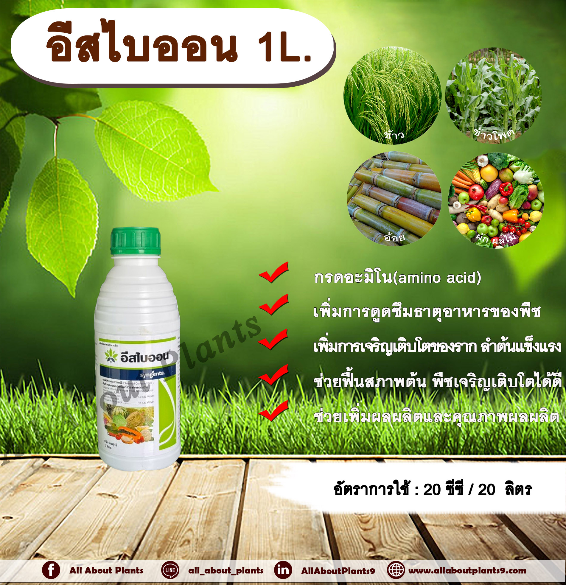 อีสไบออน 1L. กรดอะมิโน เพิ่มการดูดซึมธาตุอาหาร บำรุงราก ลำต้นแข็งแรง ฟื้นสภาพต้น พืชเจริญเติบโต ปรับสภาพอากาศ ลดความเครียดของพืช เพิ่มผลผลิต เพิ่มคุณภาพผลผลิต ขวด