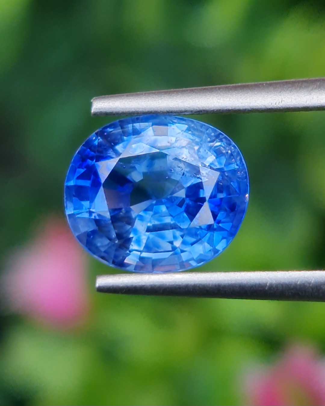 พลอย ไพลิน Blue Sapphire 2.48 กะรัต (Cts.) พร้อมใบเซอร์ พลอยแท้ อัญมณีมงคลประจําวันเกิด เครื่องประดับพลอย