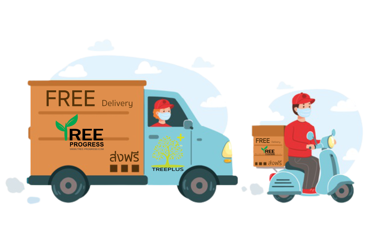 ขั้นตอนที่ 6