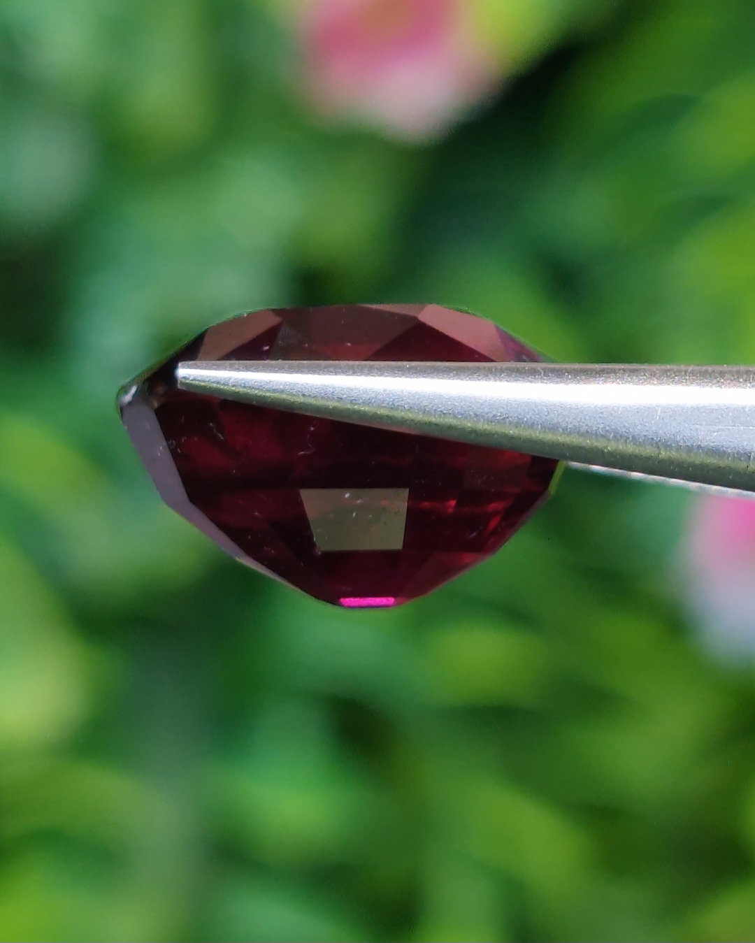 พลอย โรโดไลต์ กาเน็ท Rhodolite Garnet 8.50 กะรัต Cts.พลอยแท้ อัญมณีมงคลประจําวันเกิด เครื่องประดับพลอย