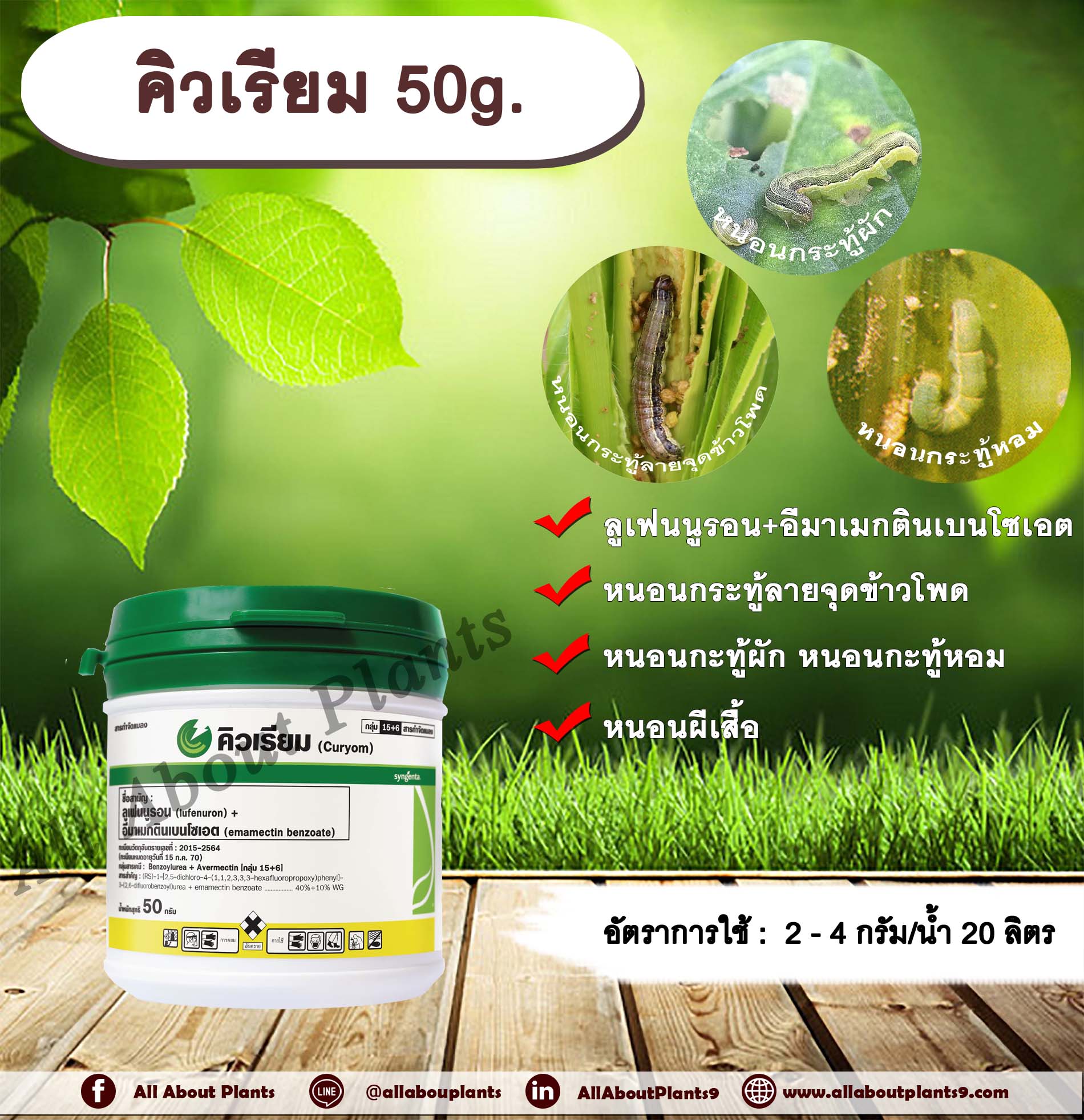 คิวเรียม 50g. ลูเฟนนูรอน อีมาเมกตินเบนโซเอต ชนิดเกล็ด สารกำจัดแมลง สารกำจัดหนอน หนอนกระทู้ข้าวโพดลายจุด หนอนผีเสื้อ กำจัดหนอนกระทูผัก หนอนกระทู้หอม allaboutplants ชิ้น
