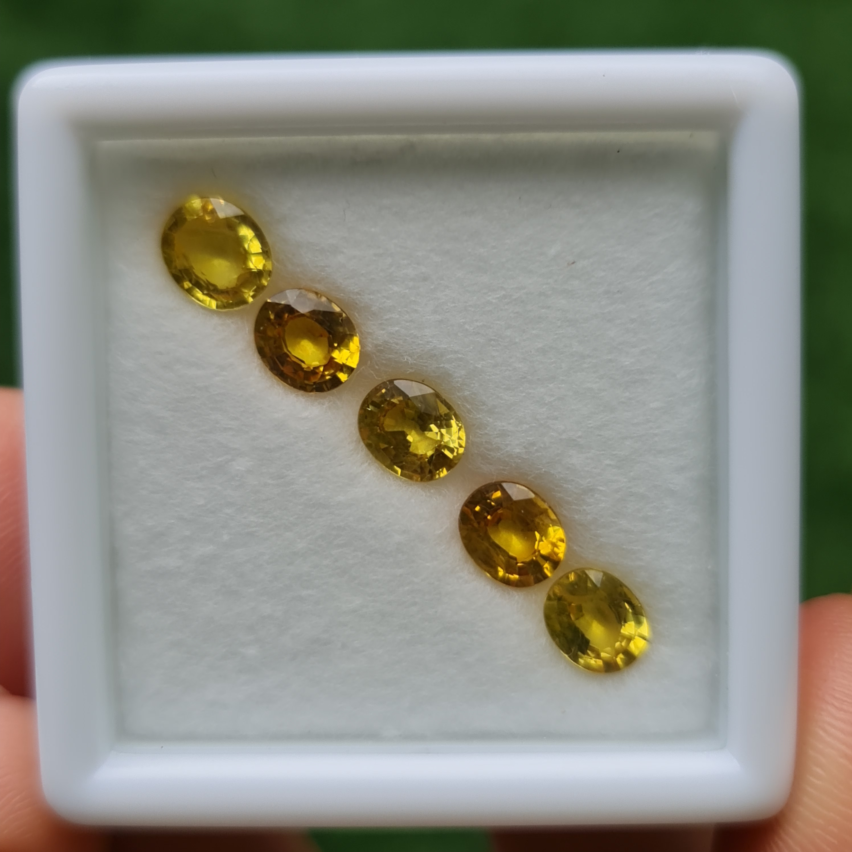 พลอย บุษราคัม yellow sapphire 3.84 กะรัต (Cts.) 5 เม็ด (Pcs.) พลอยแท้ อัญมณีมงคลประจําวันเกิด เครื่องประดับพลอย