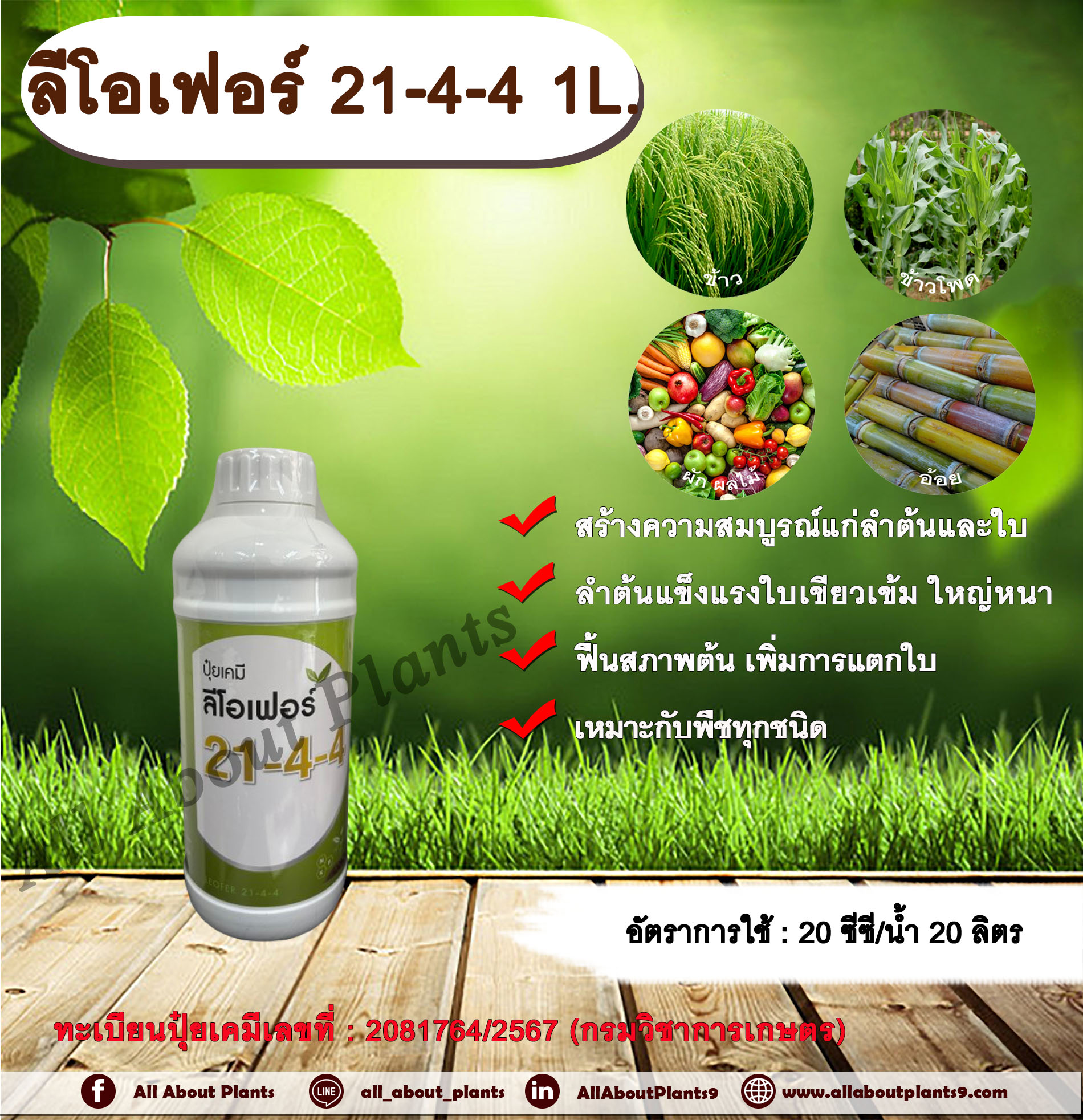 ลีโอเฟอร์ 21-4-4 1L.ปุ๋ยน้ำ เร่งต้น เร่งใบ พืชเจริญเติบโต ต้นสมบูรณ์ ใบเขียวเข้ม ฟื้นสภาพต้น แตกใบ ใบเขียว ต้นโต เหมาะกับพืชทุกชนิด ขวด