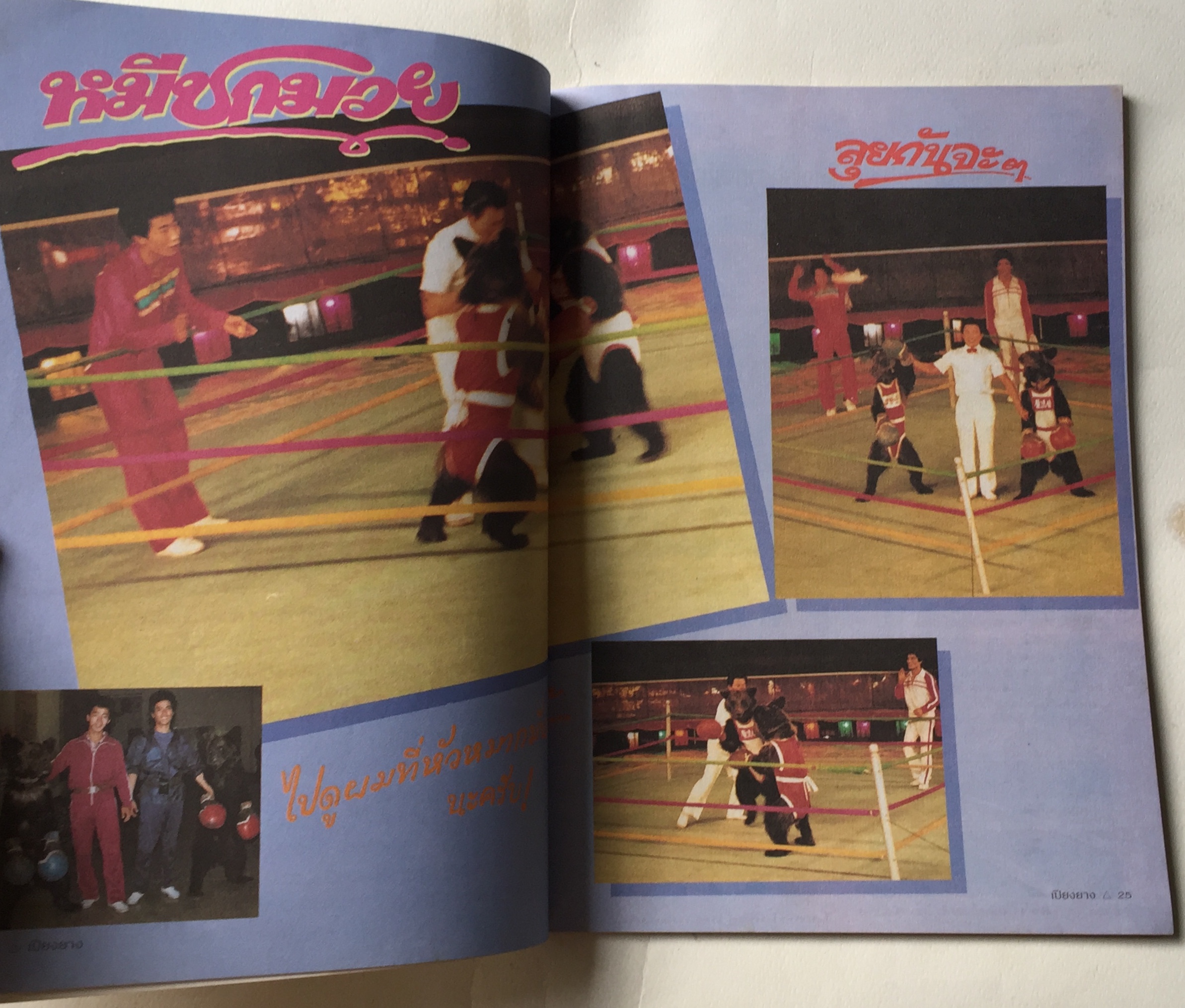 สูจิบัตร ** มีตำหนิบ้างตามภาพ กายกรรมเปียงยาง แสดง ณ สนามกีฬาในร่ม หัวหมาก กทม 1 - 30 พฤศจิกายน 2534