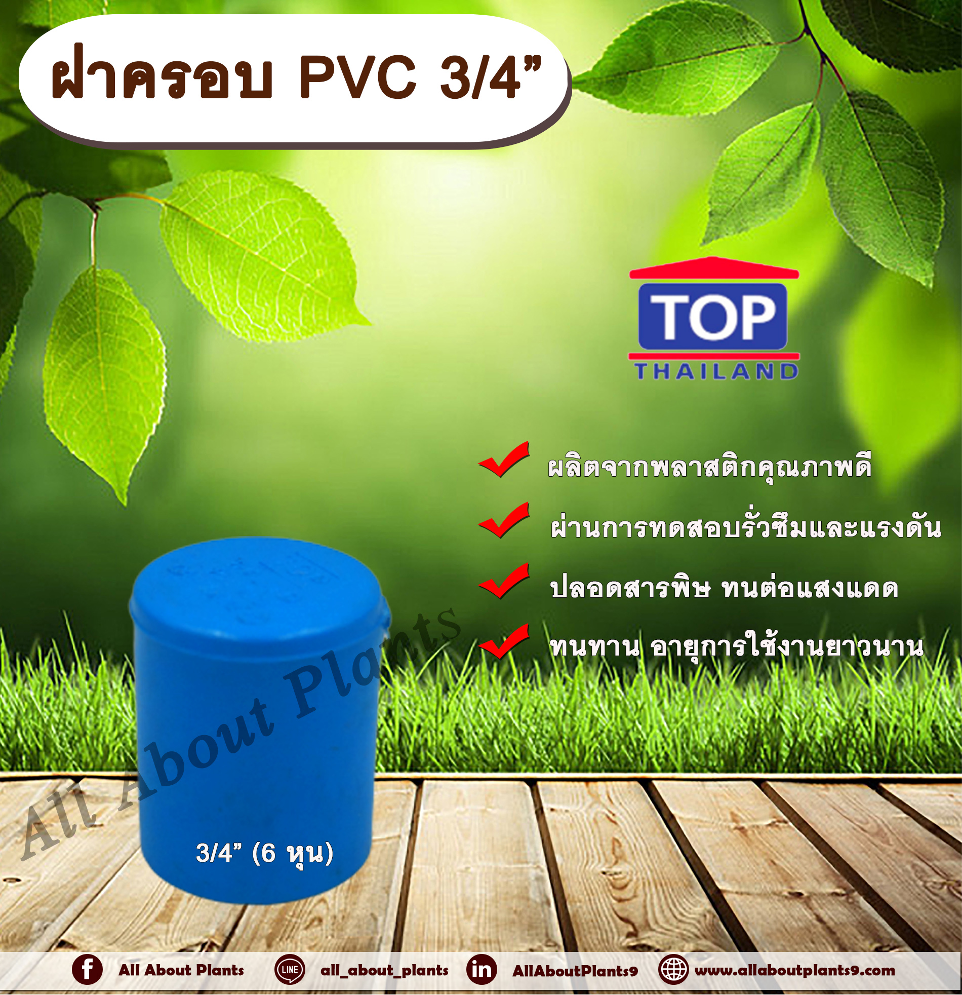 ฝาครอบ PVC ตรา TOP 3/4”(6หุน) ฝาครอบท่อPVC ขนาด 3/4นิ้ว หรือ 6หุน ตัวอุดท่อ ฝาปิดท่อพีวีซี allaboutplnats ชิ้น