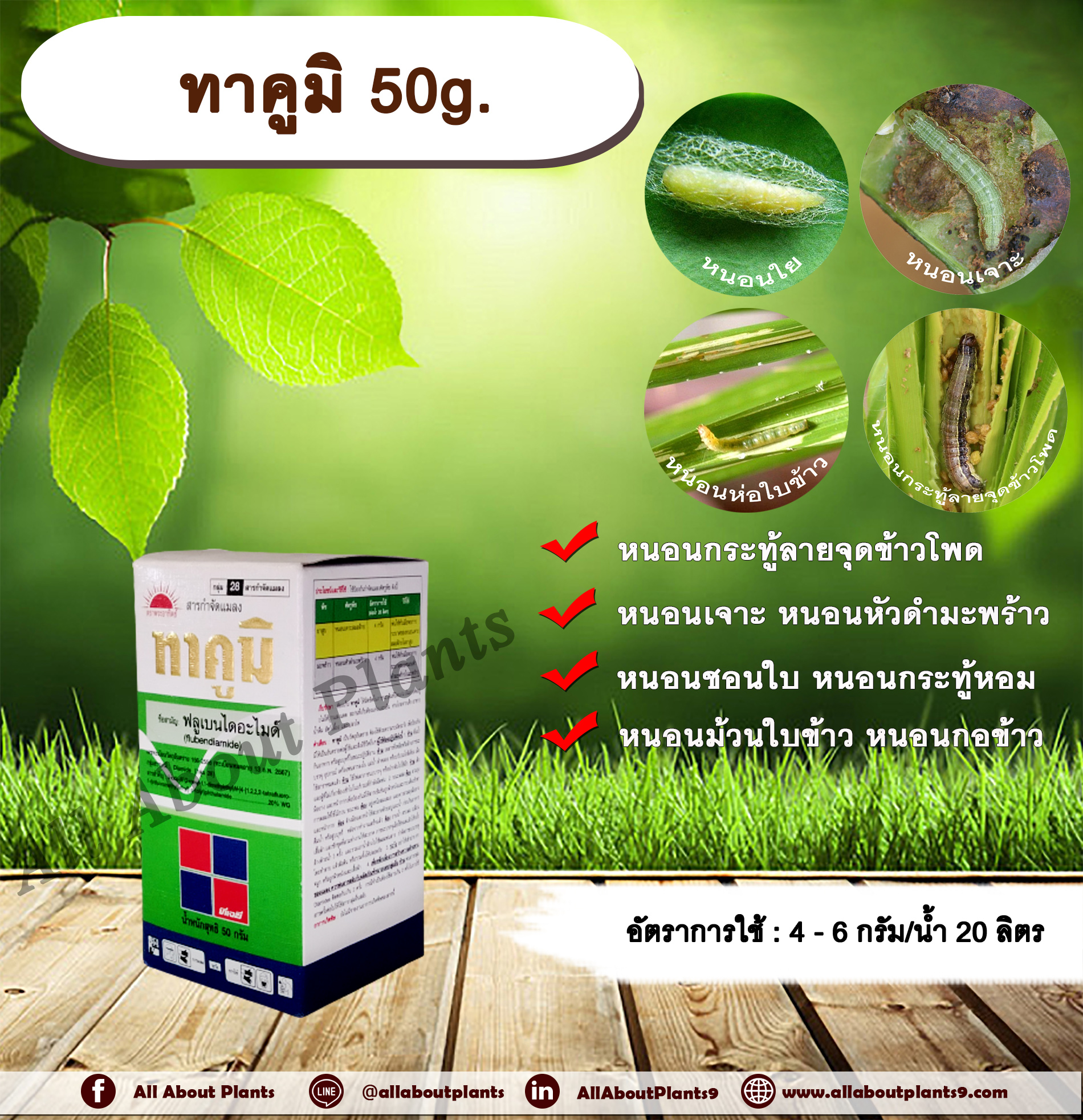 ทาคูมิ 50g. ฟลูเบนไดอะไมด์ สารกำจัดแมลง หนอนใย หนอนชอนใบ หนอนกระทู้ลายจุดข้าวโพด หนอนเจาะ กำจัดหนอน ดูดซึม ทีเจซี allaboutplants ชิ้น