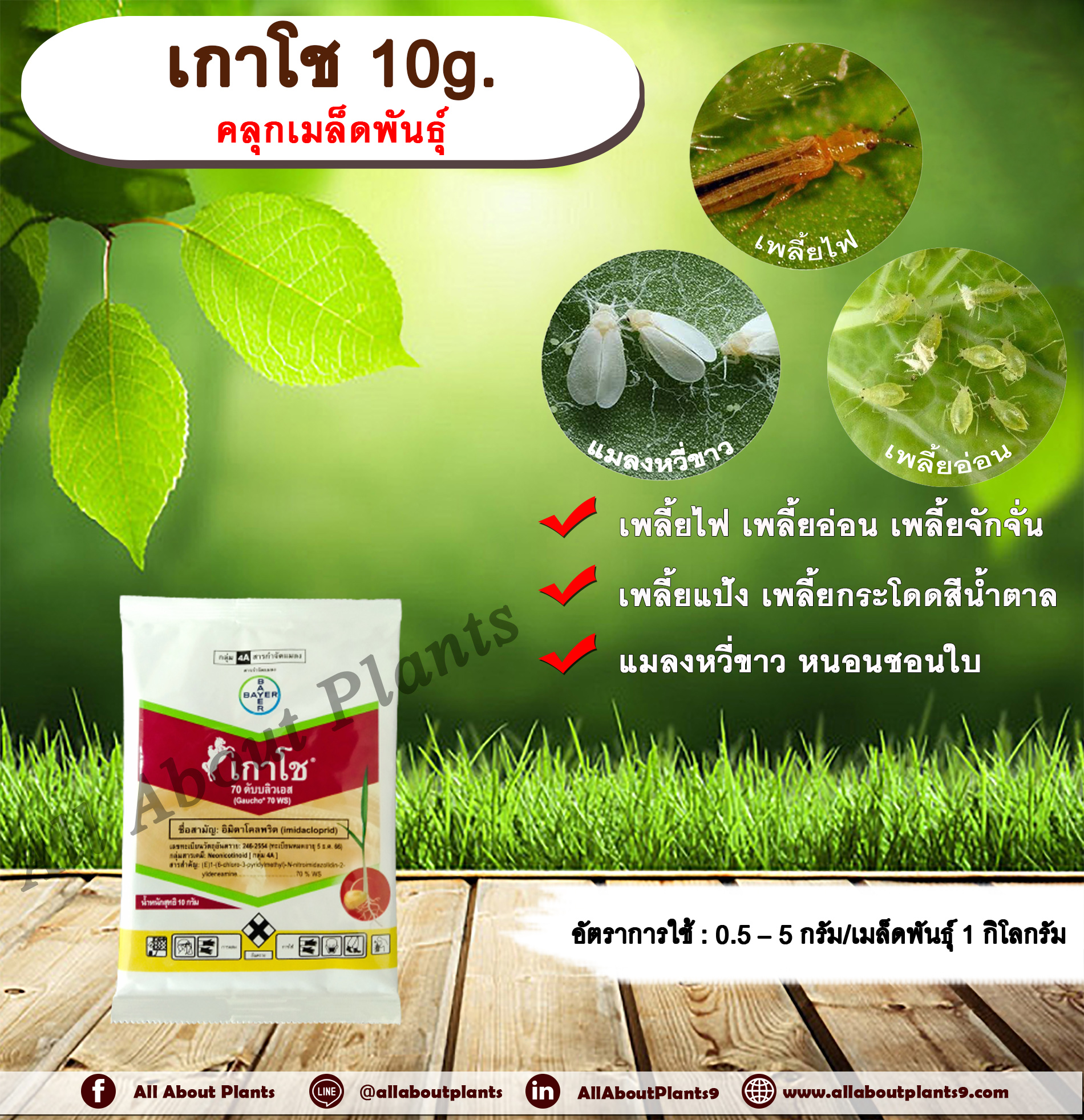 เกาโช 10g. อิมิดาคลอพริด คลุกเมล็ดพันธุ์ สารกำจัดแมลง คลุกเมล็ดก่อนปลูก แมลงในดิน กำจัดเพลี้ย กำจัดแมลง แมลงในดิน allaboutplants ชิ้น