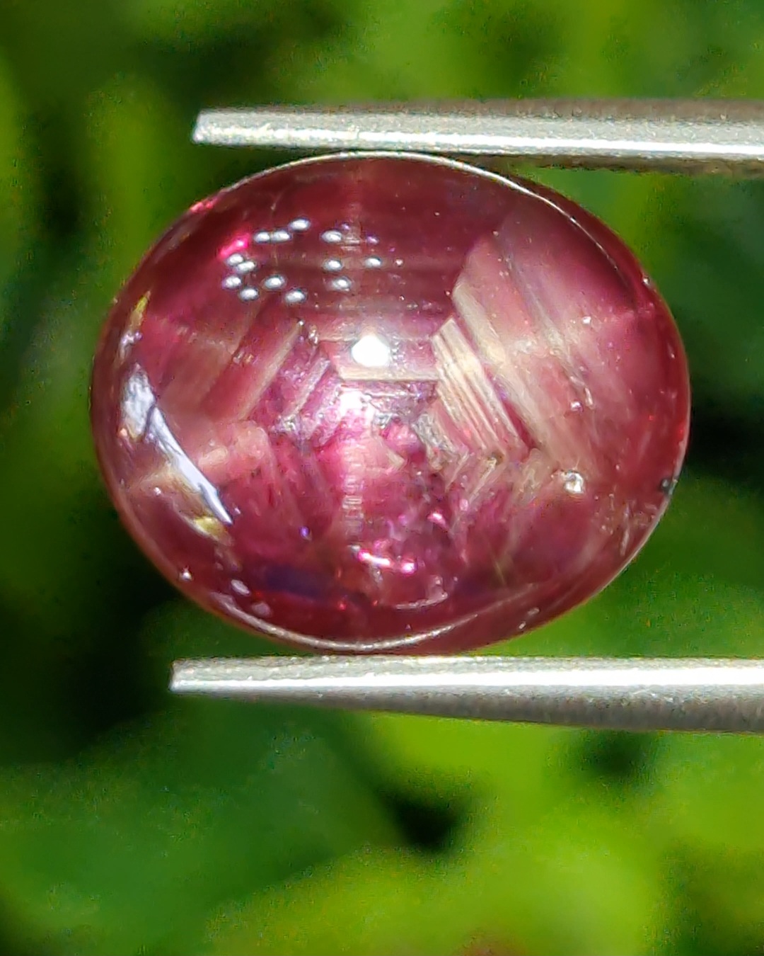 พลอย ทับทิม สตาร์ แซฟไฟร์ Ruby Star Sapphire 8.08 กะรัต (Cts.) พลอยแท้ อัญมณีมงคลประจําวันเกิด เครื่องประดับพลอย