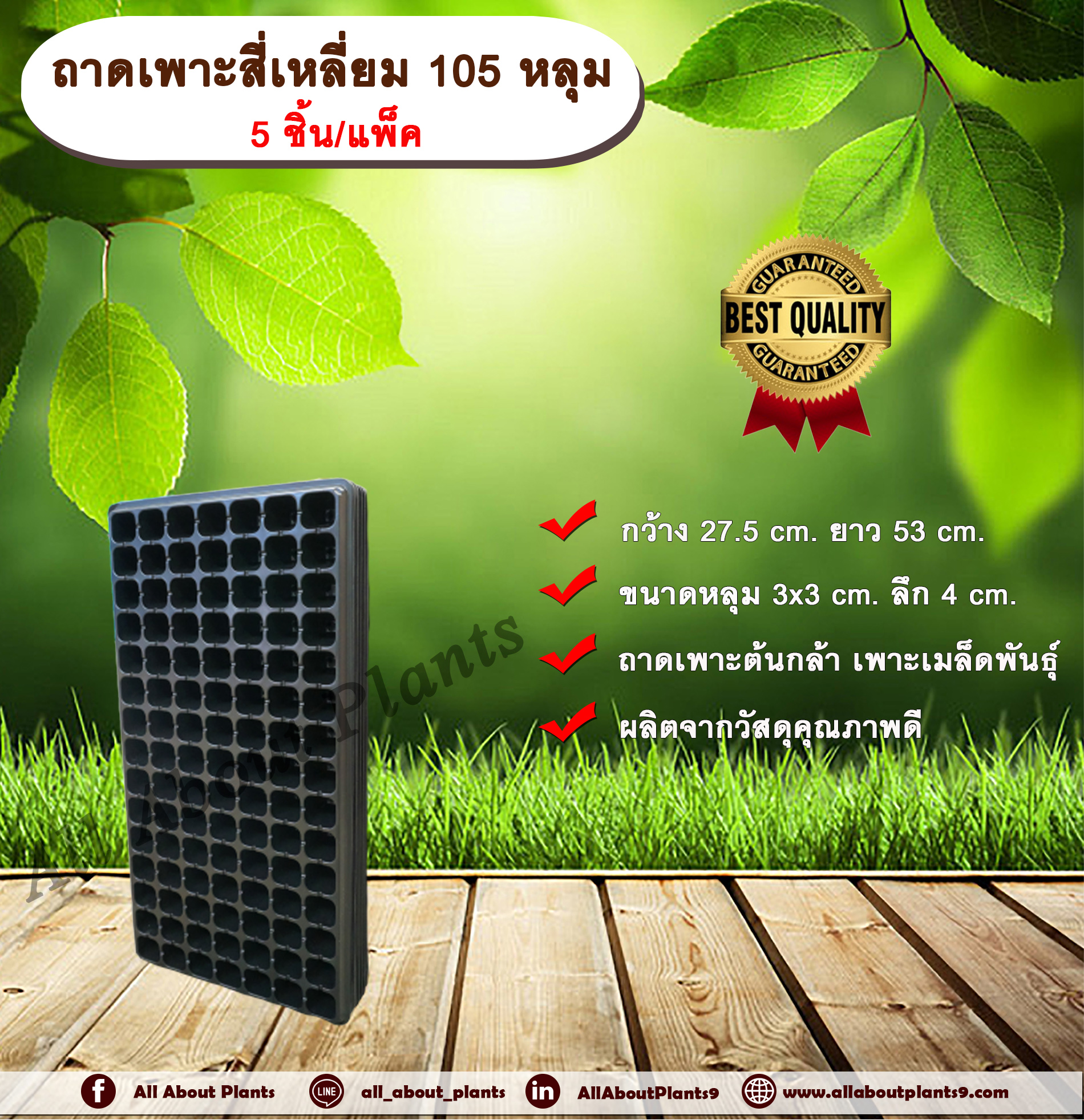 ถาดเพาะสี่เหลี่ยม 105 หลุม (5ชิ้น/แพ็ค) ถาดเพาะต้นกล้า ถาดเพาะเมล็ดพันธุ์ ขนาด 105 หลุม แบบสี่เหลี่ยม allaboutplants ชิ้น