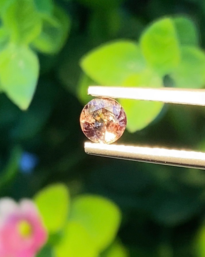 พลอย อเล็กซานไดร์ (Natural Alexandrite Chrysoberyl) เจ้าสามสี 0.44 กะรัต (Cts.) พร้อมใบเซอร์ พลอยแท้ อัญมณีมงคลประจําวันเกิด เครื่องประดับพลอย