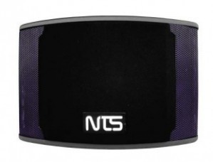 NTS รุ่น OK-10 ตู้ลำโพงคาราโอเกะ 2 ทาง 10 นิ้ว 8Ω 150W