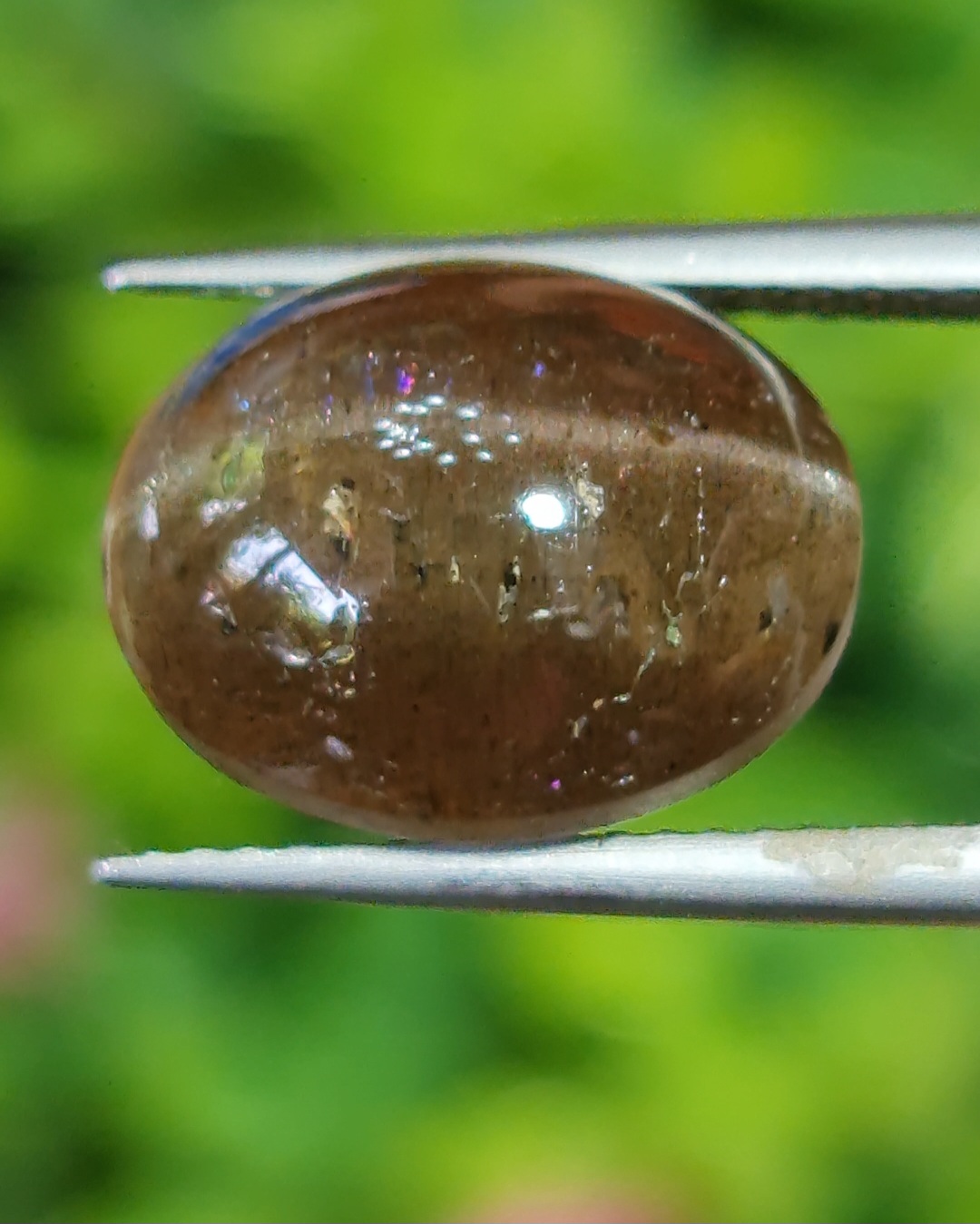 ตาแมว ทัวร์มาลีน Cat eye Tourmaline 7.44 กะรัต Cts. พลอยแท้ อัญมณีมงคลประจําวันเกิด เครื่องประดับพลอย