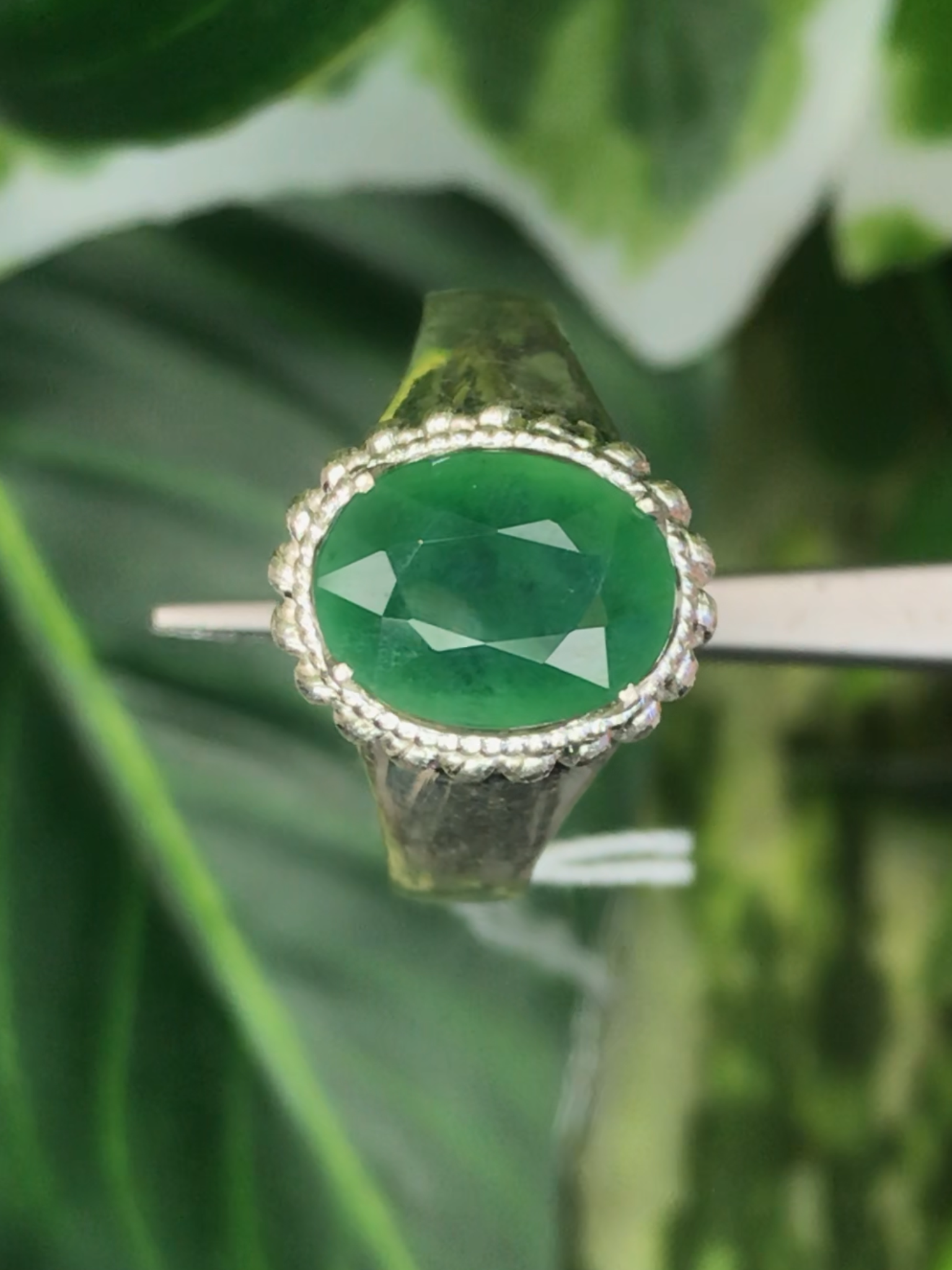 หยก พม่า แท้ Jade แหวนหยก 翡翠戒指 (Jadeite ring) ดิบ (Size) 55 ไม่ผ่านการปรับปรุง (Type A) พม่า (Myanmar)