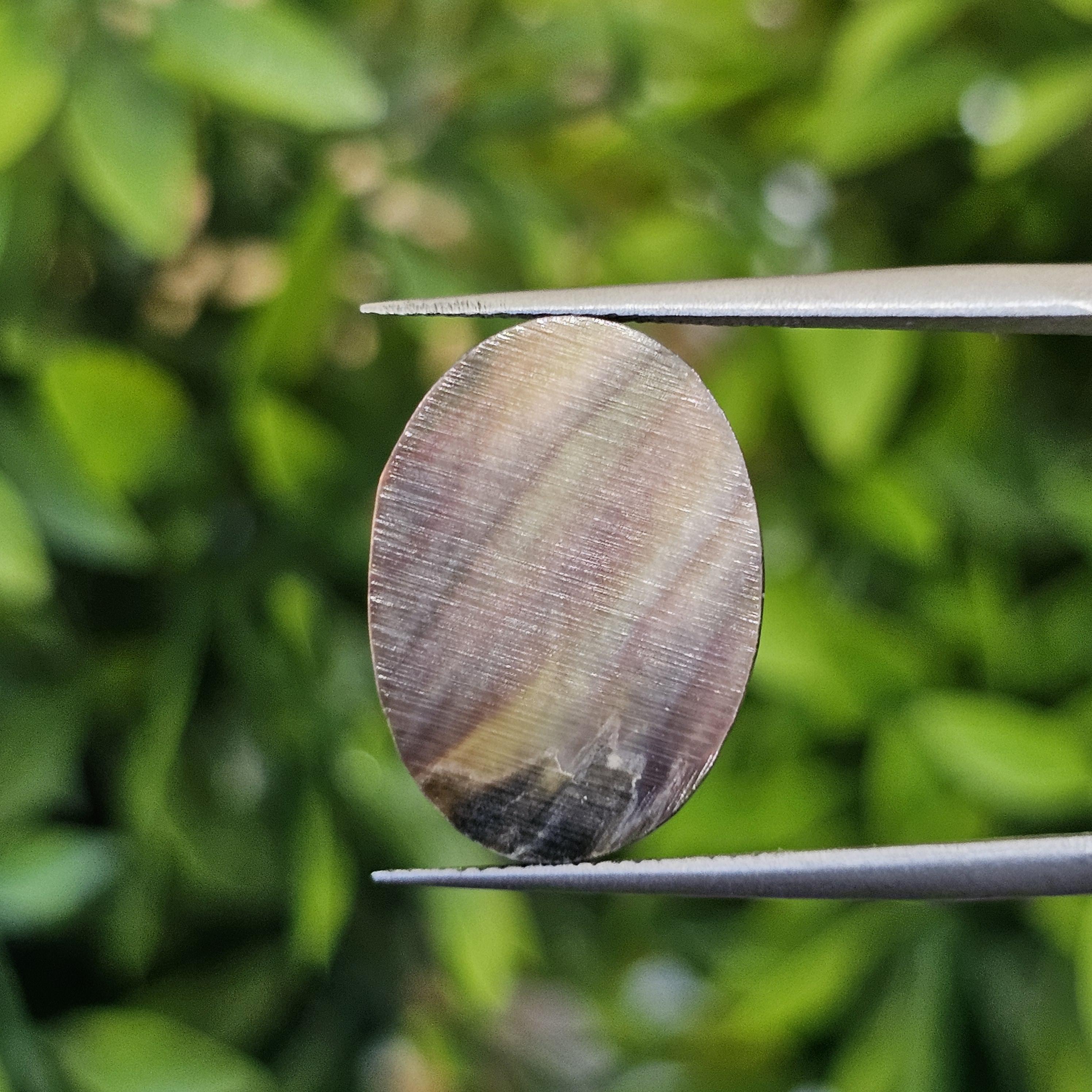 เปลือกหอยมุก แกะสลัก Pearl Shell Carved 4.89 กะรัต (Cts.)