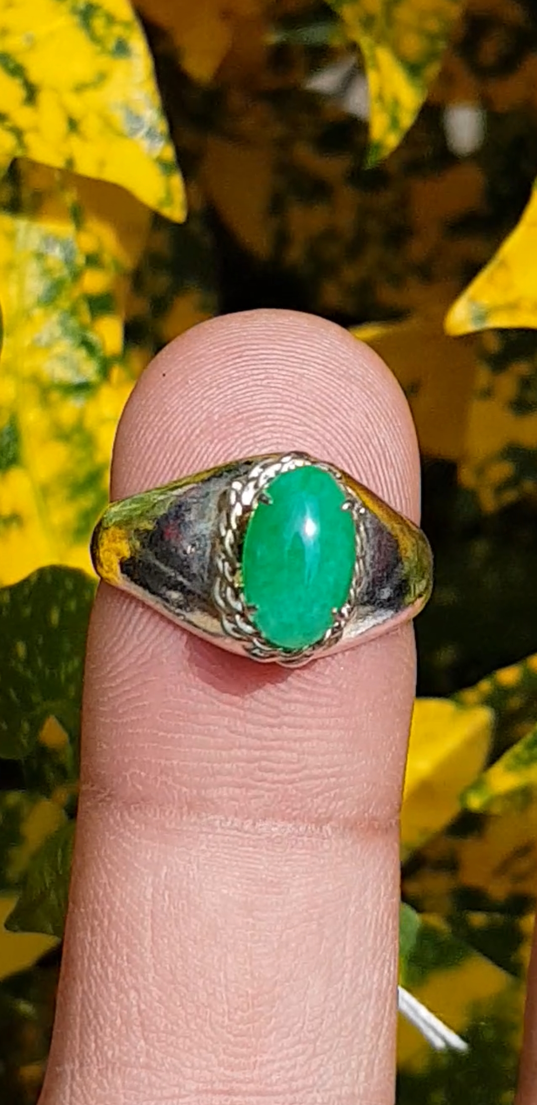 หยก พม่า แท้ Jade แหวนหยก 翡翠戒指 (Jadeite ring) 0.79 กะรัต (Cts.) (Size) 54 ดิบ ไม่ผ่านการปรับปรุง (Type A) พม่า (Myanmar)