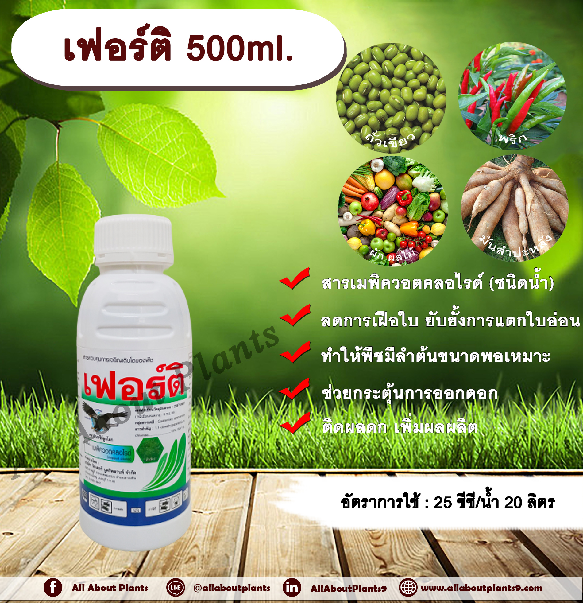 เฟอร์ติ 500 ml. สารเมพิควอตคลอไรด์ สารควบคุมการเจริญเติบโต ลดการเฝือใบ ยับยั้งการแตกใบอ่อน ทำให้พืชมีลำต้นและส่วนสูงขนาด ช่วยกระตุ้นการออกดอกพอเหมาะ ติดผลดก เพิ่มผลผลิต ชิ้น
