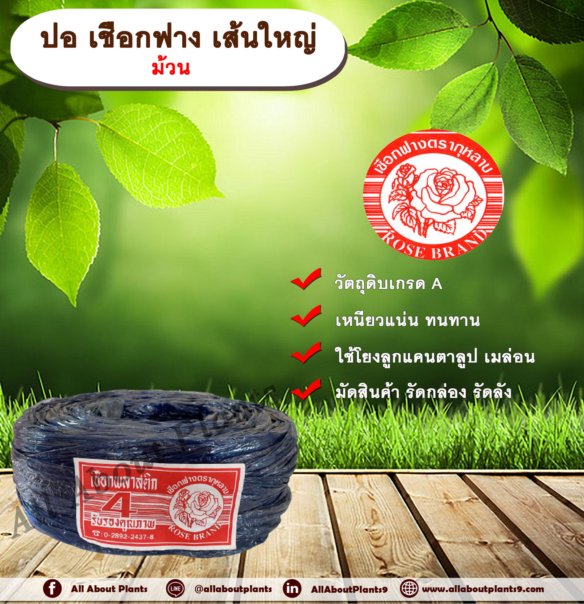 ปอ เชือกฟาง เส้นใหญ่ ตรากุหลาบ ม้วน ปอกุหลาบเส้นใหญ่ เชือกฟางเส้นใหญ่ ใช้โยงลูกแคนตาลูป เมล่อน มัดสินค้า มัดกล่อง มัดลัง ชิ้น