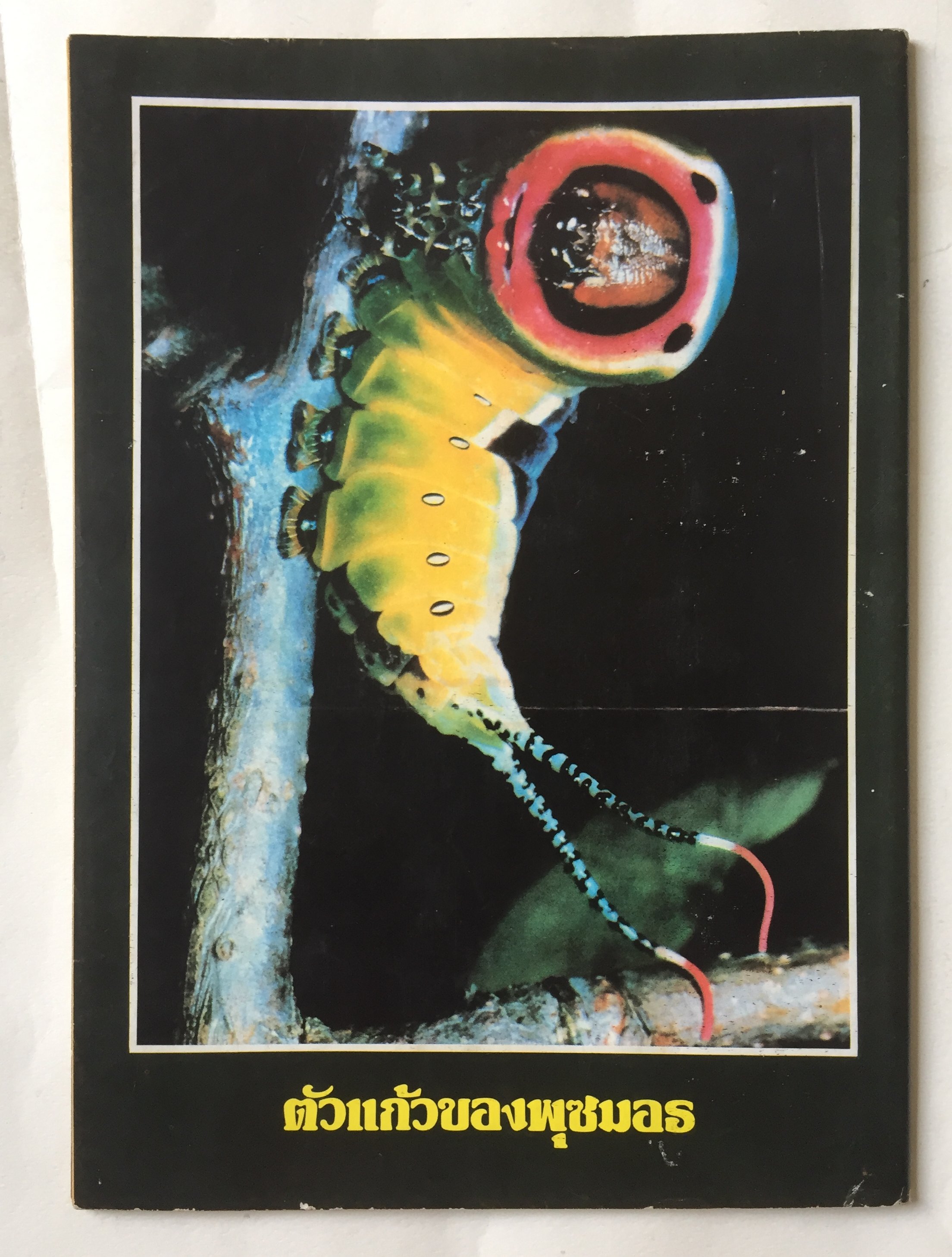 นิตยสาร ทักษะ วิทยาศาสตร์เทคโนโลยี ฉบับที่ 31 สิงหาคม 2524 ราคาปก 10 บาท